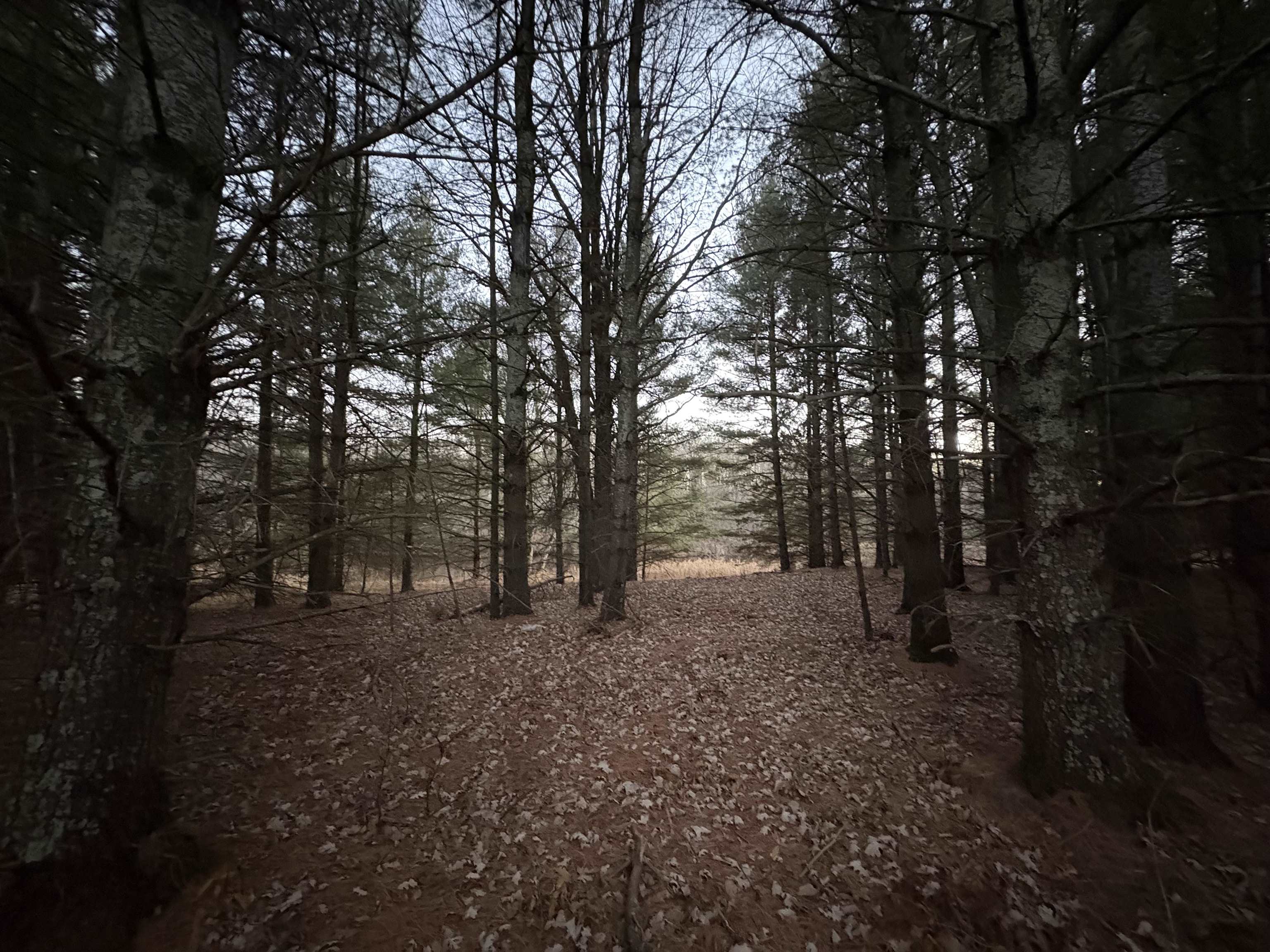 Lot 10 LUKES HEIGHTS ROAD, Ogema, Wisconsin 54459, ,Land,For Sale,Lot 10 LUKES HEIGHTS ROAD,22600056