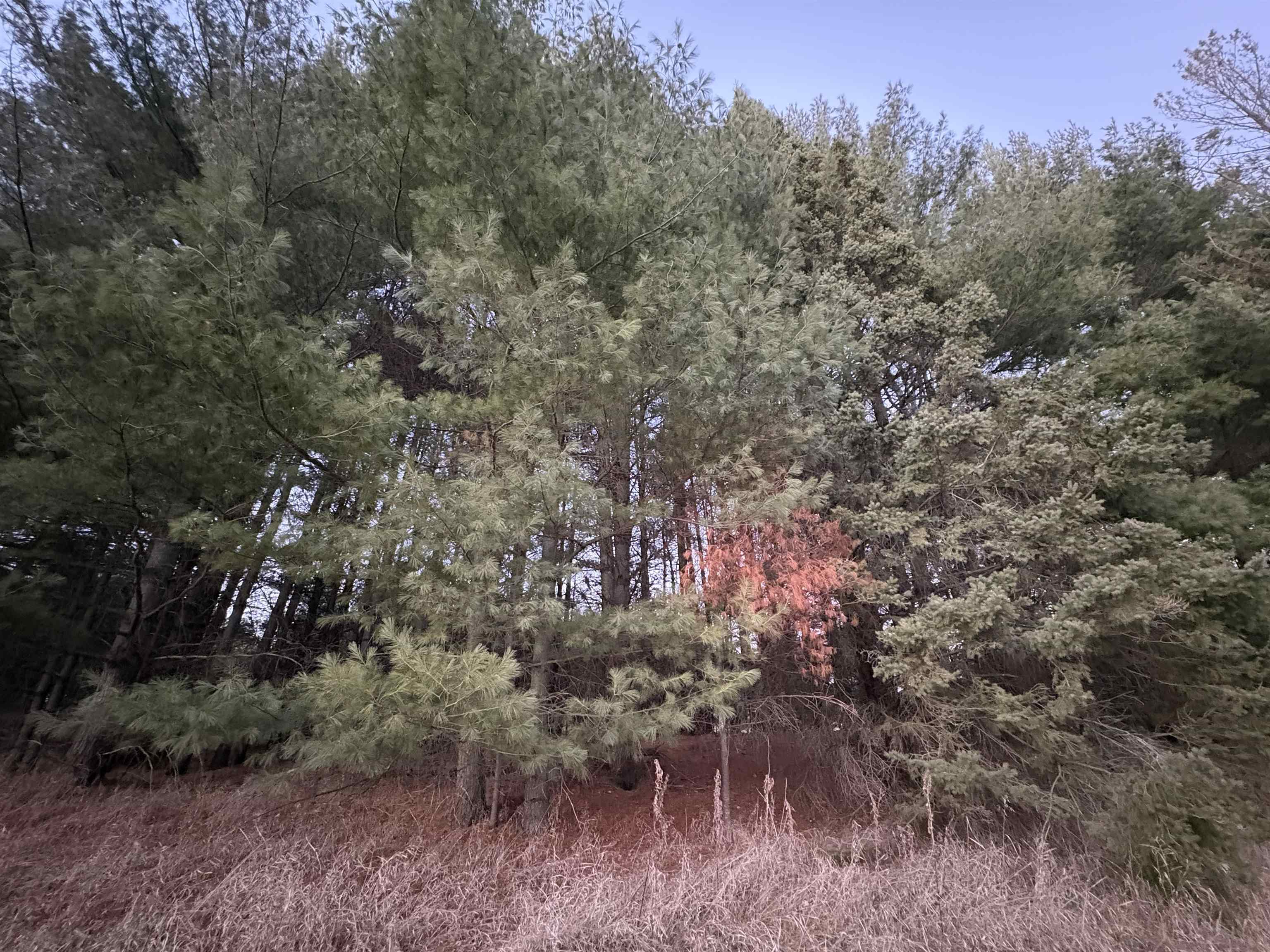 Lot 10 LUKES HEIGHTS ROAD, Ogema, Wisconsin 54459, ,Land,For Sale,Lot 10 LUKES HEIGHTS ROAD,22600056