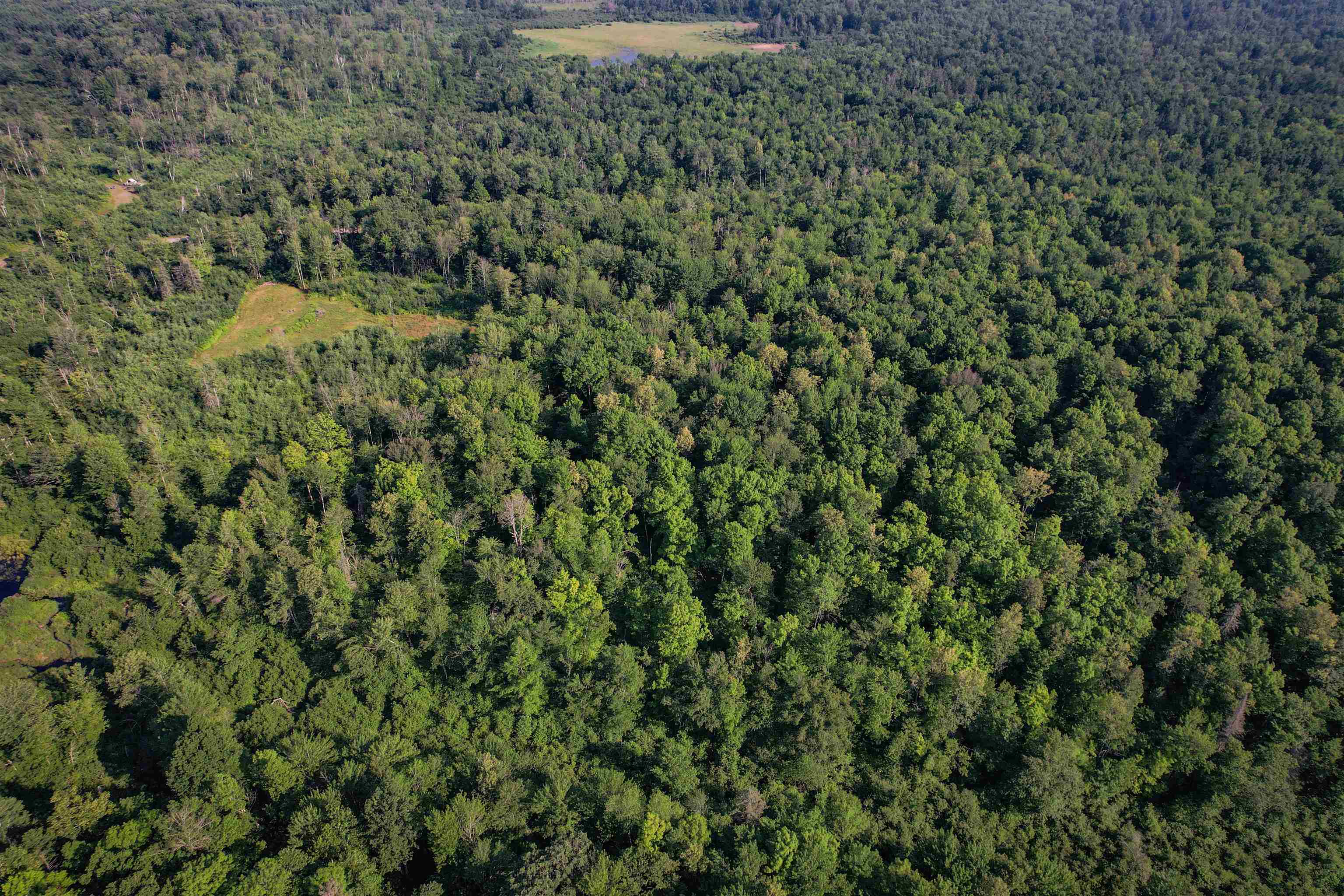 Lot 14 SCOUT TRAIL, Ojibwa, Wisconsin 54862, ,Land,For Sale,Lot 14 SCOUT TRAIL,22600064