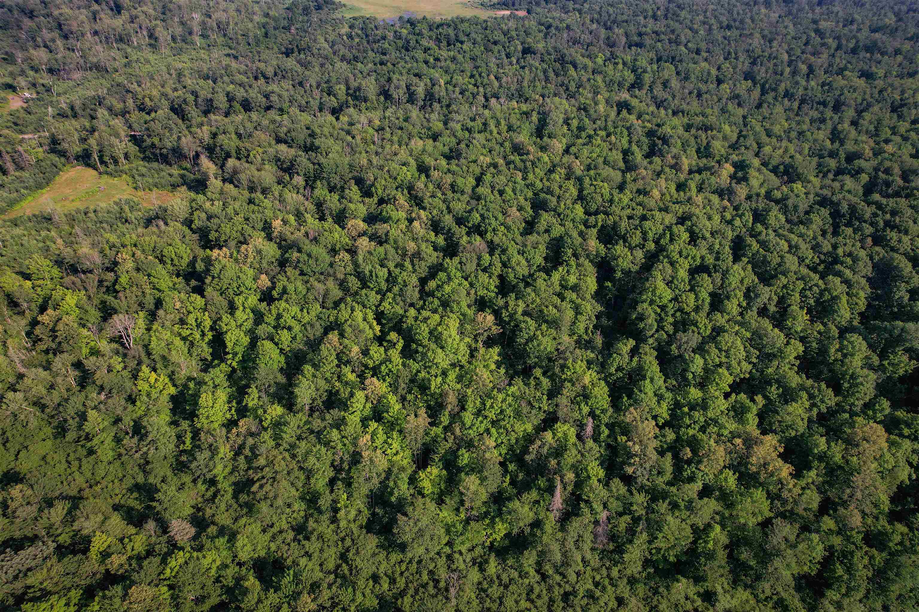 Lot 14 SCOUT TRAIL, Ojibwa, Wisconsin 54862, ,Land,For Sale,Lot 14 SCOUT TRAIL,22600064