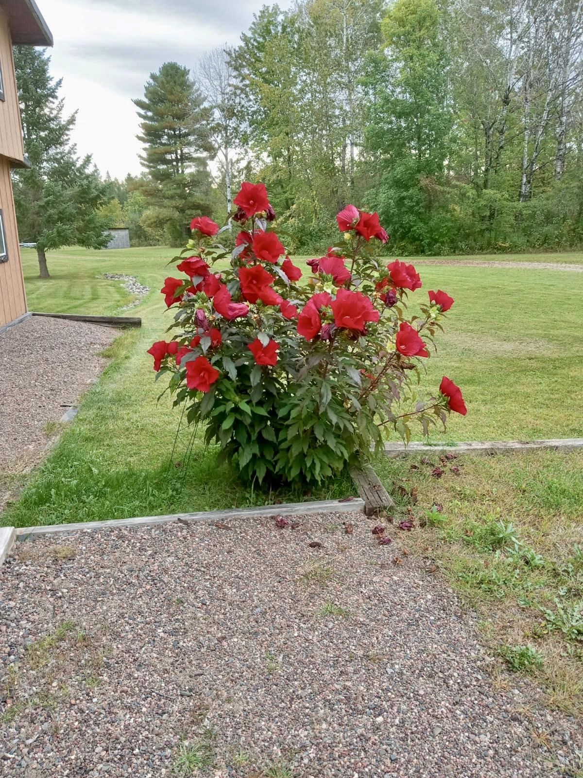 6854 N ZETT ROAD, LORETTA, Wisconsin 54896, 3 Bedrooms Bedrooms, ,2 BathroomsBathrooms,Residential,For Sale,6854 N ZETT ROAD,22600102