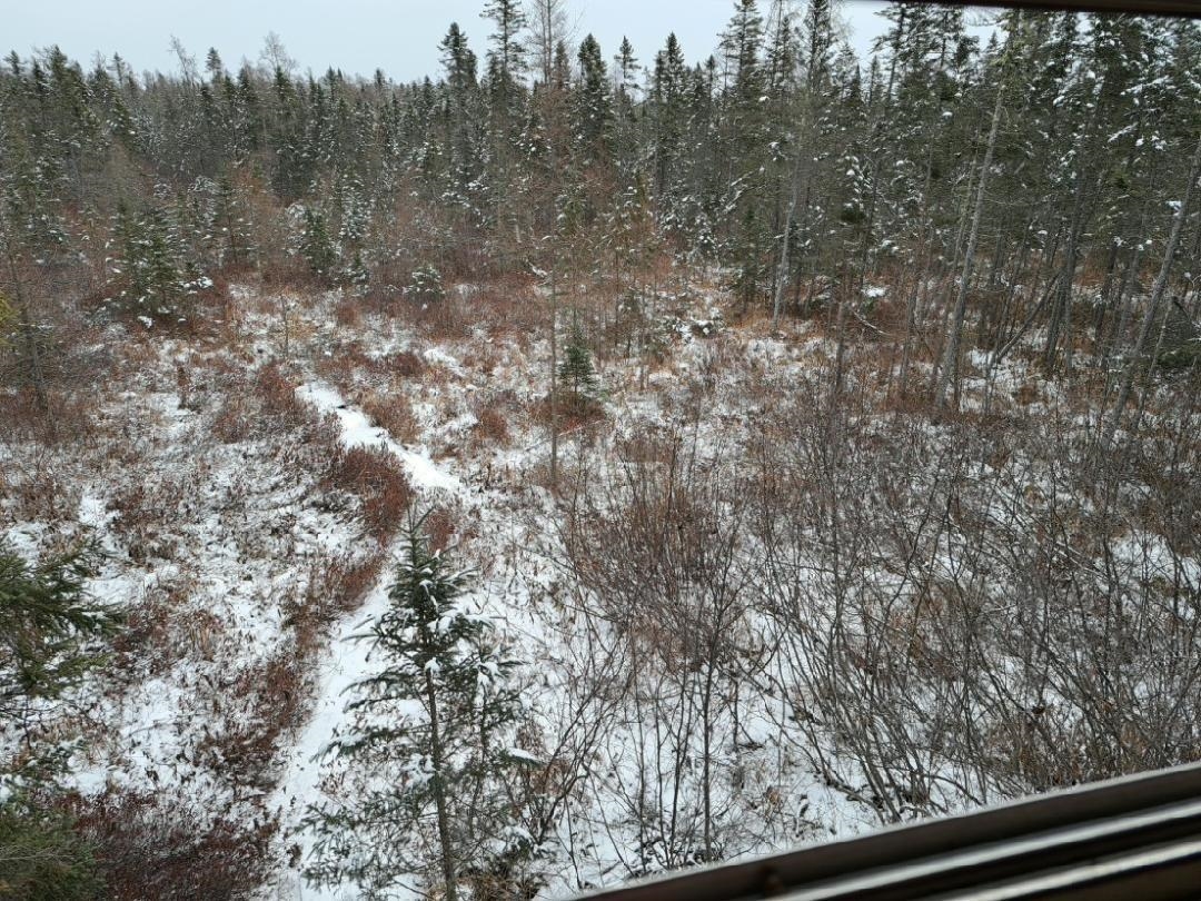 6854 N ZETT ROAD, LORETTA, Wisconsin 54896, 3 Bedrooms Bedrooms, ,2 BathroomsBathrooms,Residential,For Sale,6854 N ZETT ROAD,22600102