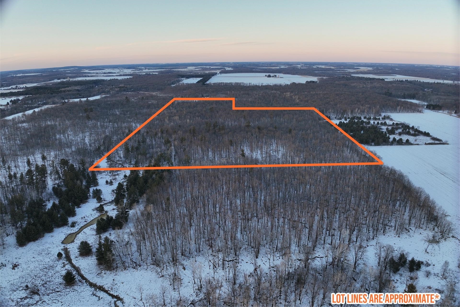 65.32 acres BOBWHITE ROAD, Neillsville, Wisconsin 54456, ,Land,For Sale,65.32 acres BOBWHITE ROAD,22600106