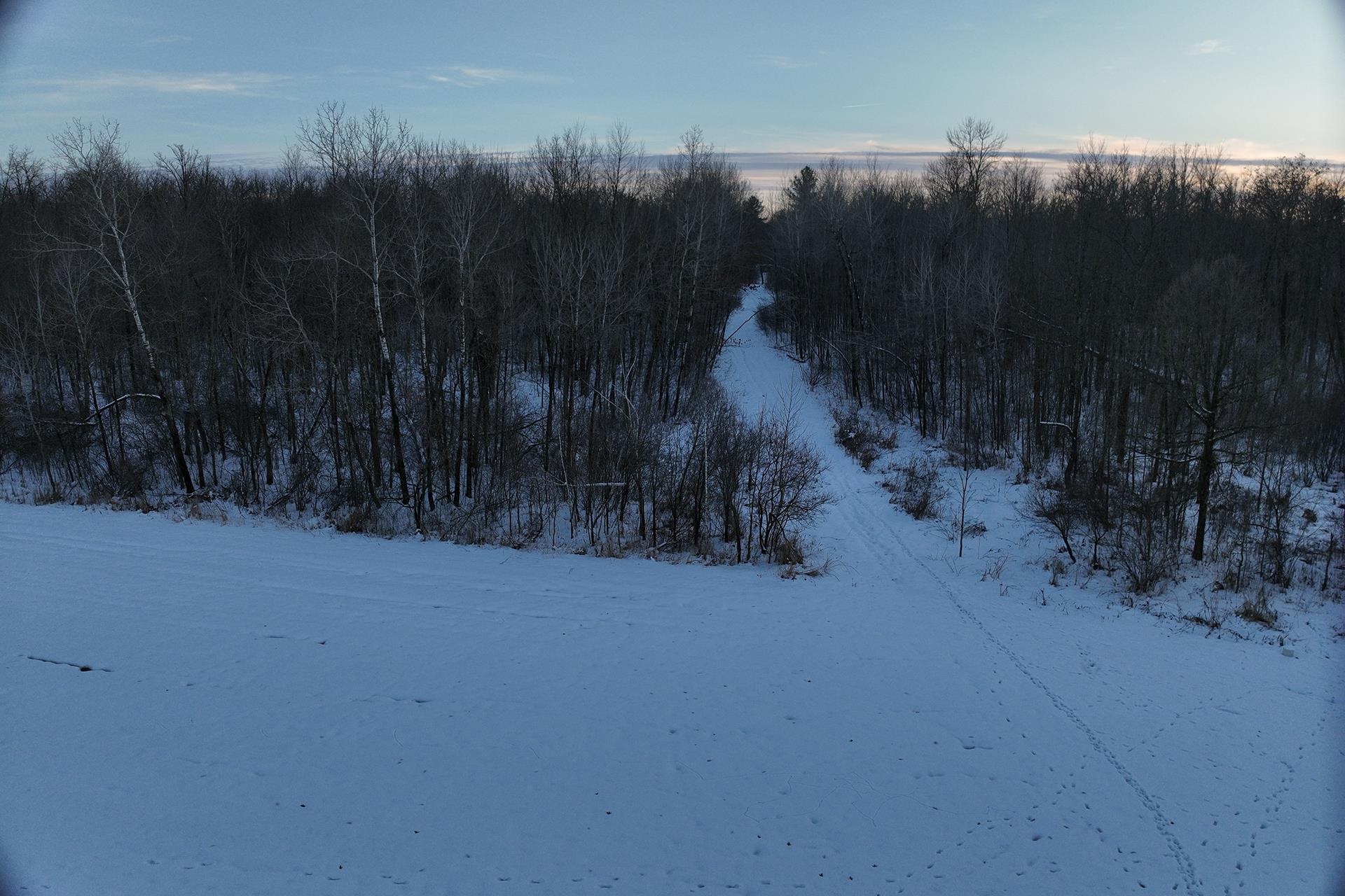 65.32 acres BOBWHITE ROAD, Neillsville, Wisconsin 54456, ,Land,For Sale,65.32 acres BOBWHITE ROAD,22600106