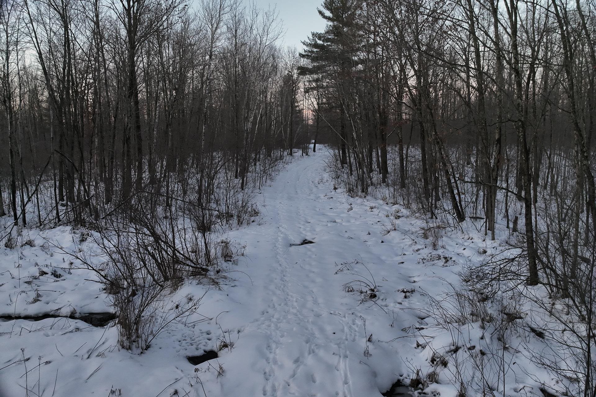 65.32 acres BOBWHITE ROAD, Neillsville, Wisconsin 54456, ,Land,For Sale,65.32 acres BOBWHITE ROAD,22600106