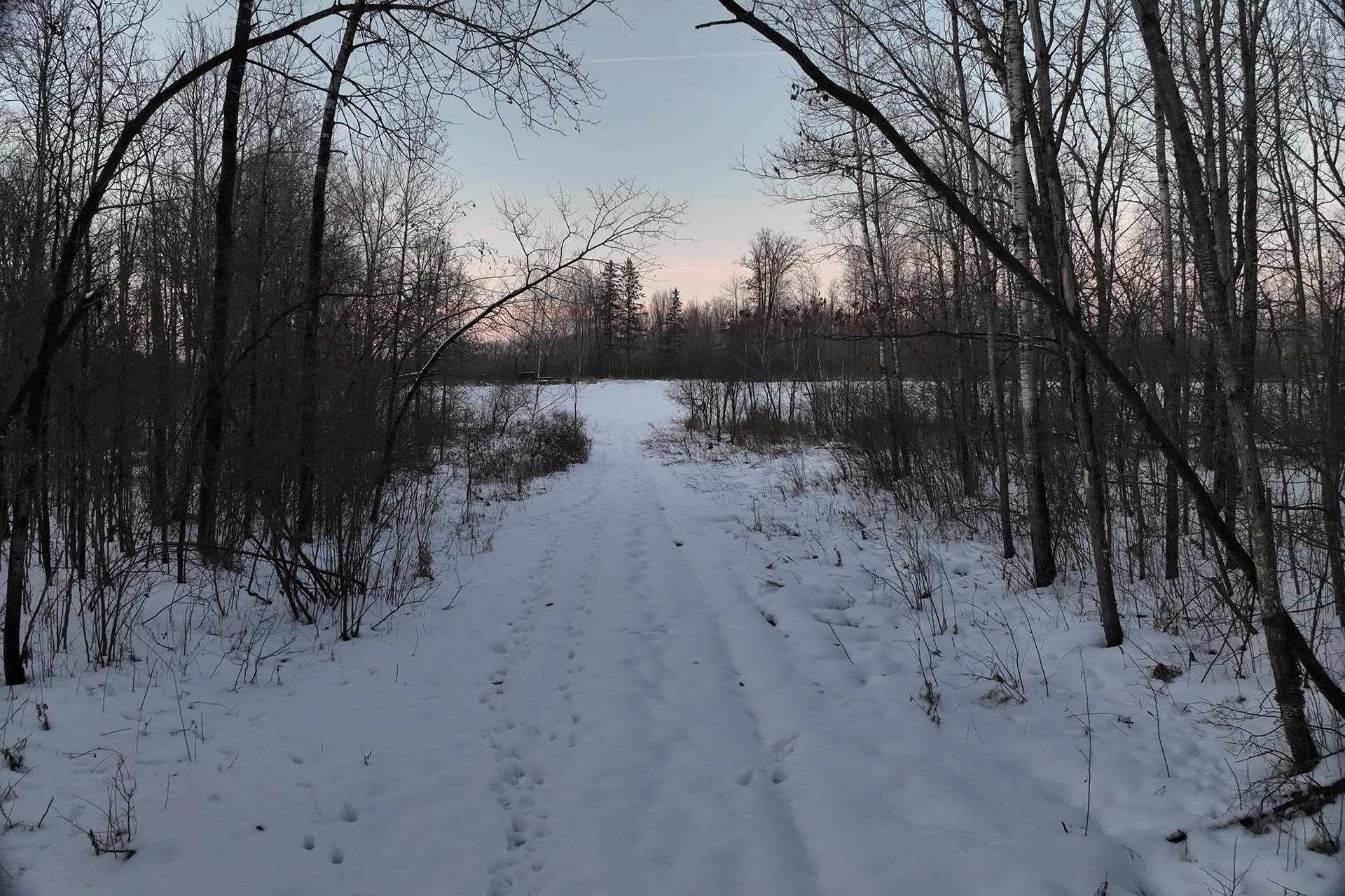 65.32 acres BOBWHITE ROAD, Neillsville, Wisconsin 54456, ,Land,For Sale,65.32 acres BOBWHITE ROAD,22600106