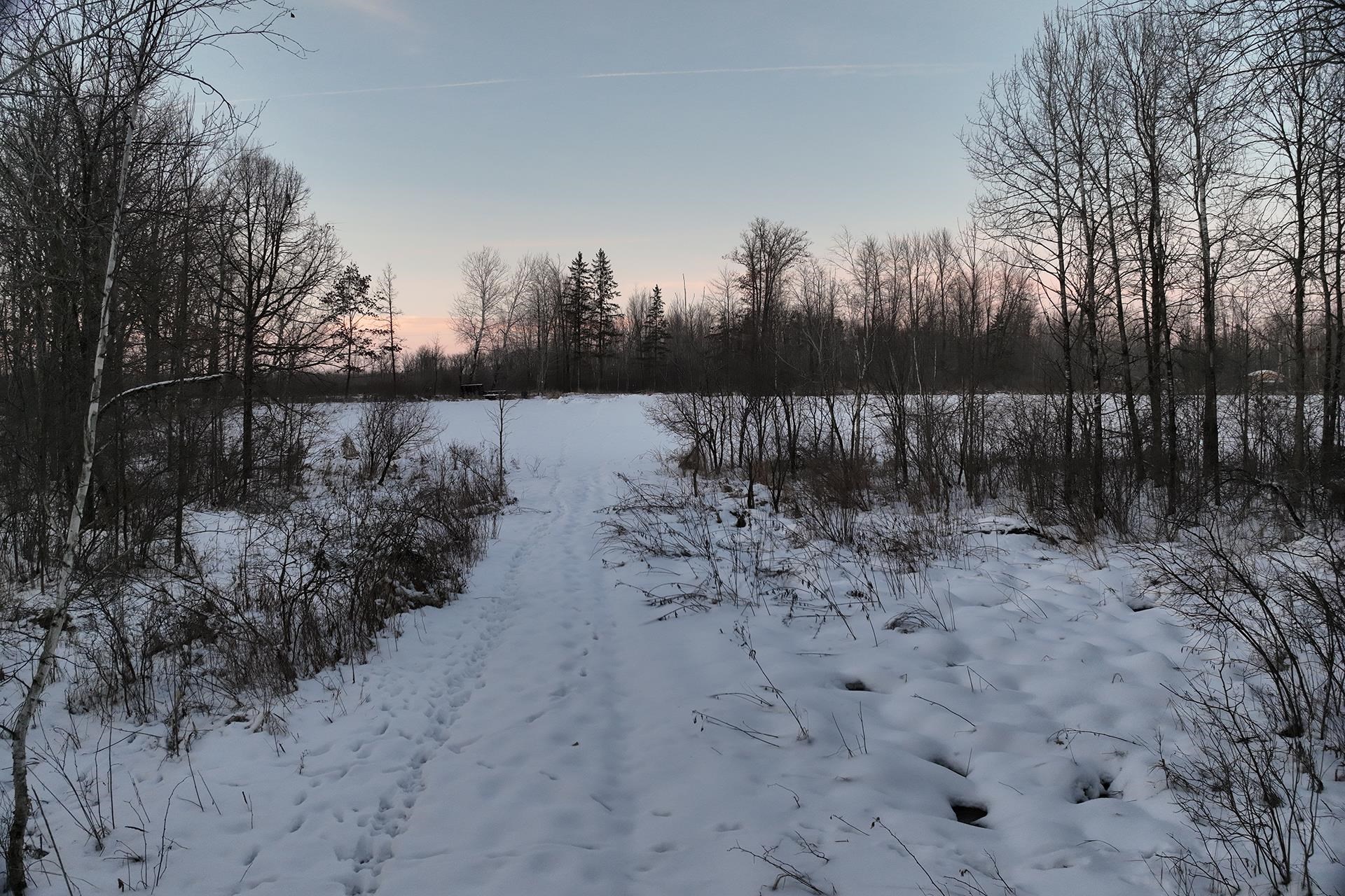 65.32 acres BOBWHITE ROAD, Neillsville, Wisconsin 54456, ,Land,For Sale,65.32 acres BOBWHITE ROAD,22600106