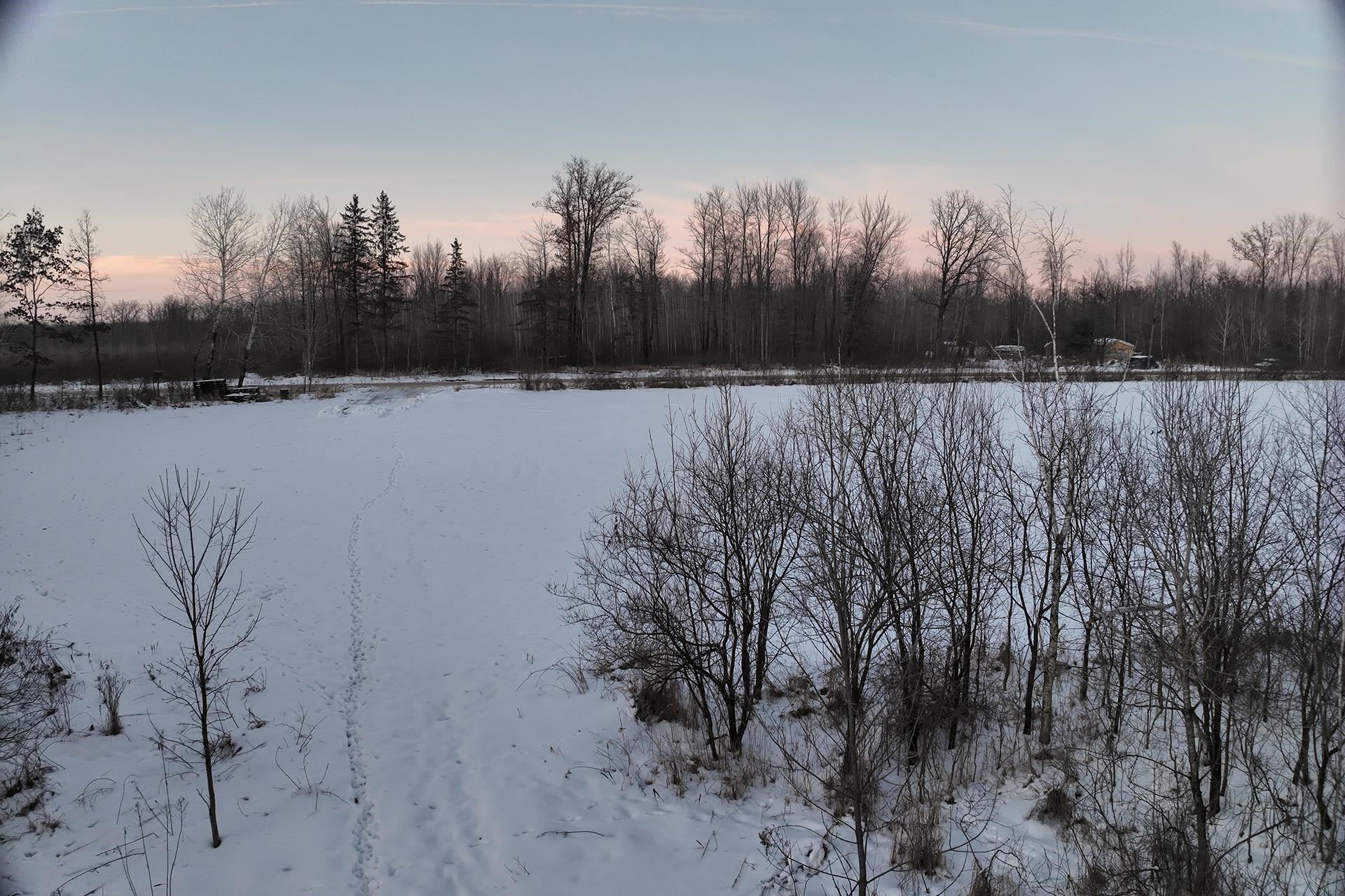 65.32 acres BOBWHITE ROAD, Neillsville, Wisconsin 54456, ,Land,For Sale,65.32 acres BOBWHITE ROAD,22600106