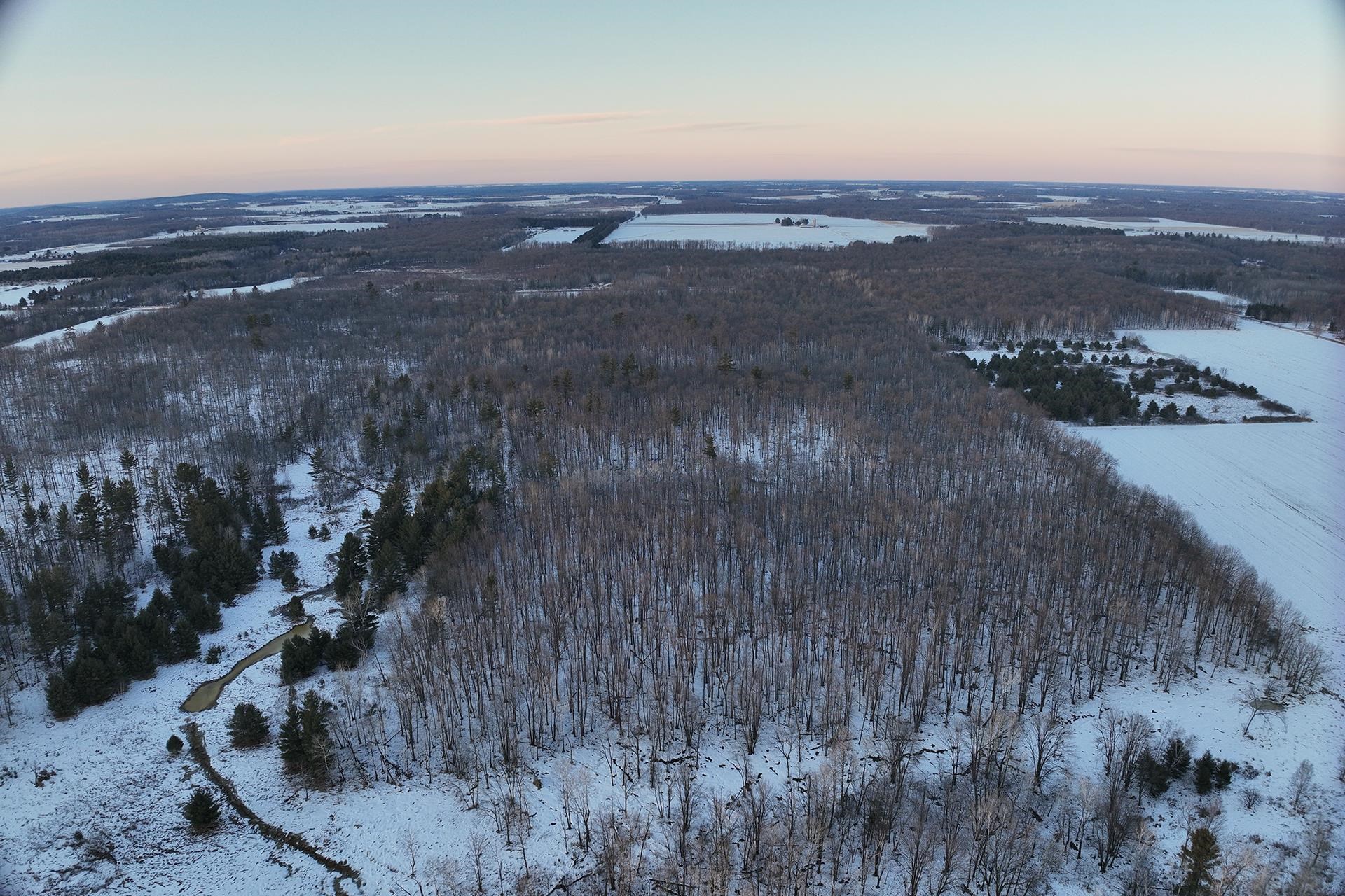 65.32 acres BOBWHITE ROAD, Neillsville, Wisconsin 54456, ,Land,For Sale,65.32 acres BOBWHITE ROAD,22600106