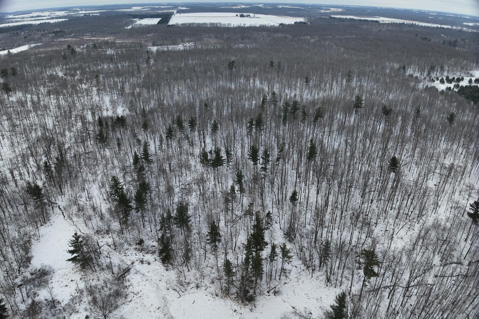65.32 acres BOBWHITE ROAD, Neillsville, Wisconsin 54456, ,Land,For Sale,65.32 acres BOBWHITE ROAD,22600106