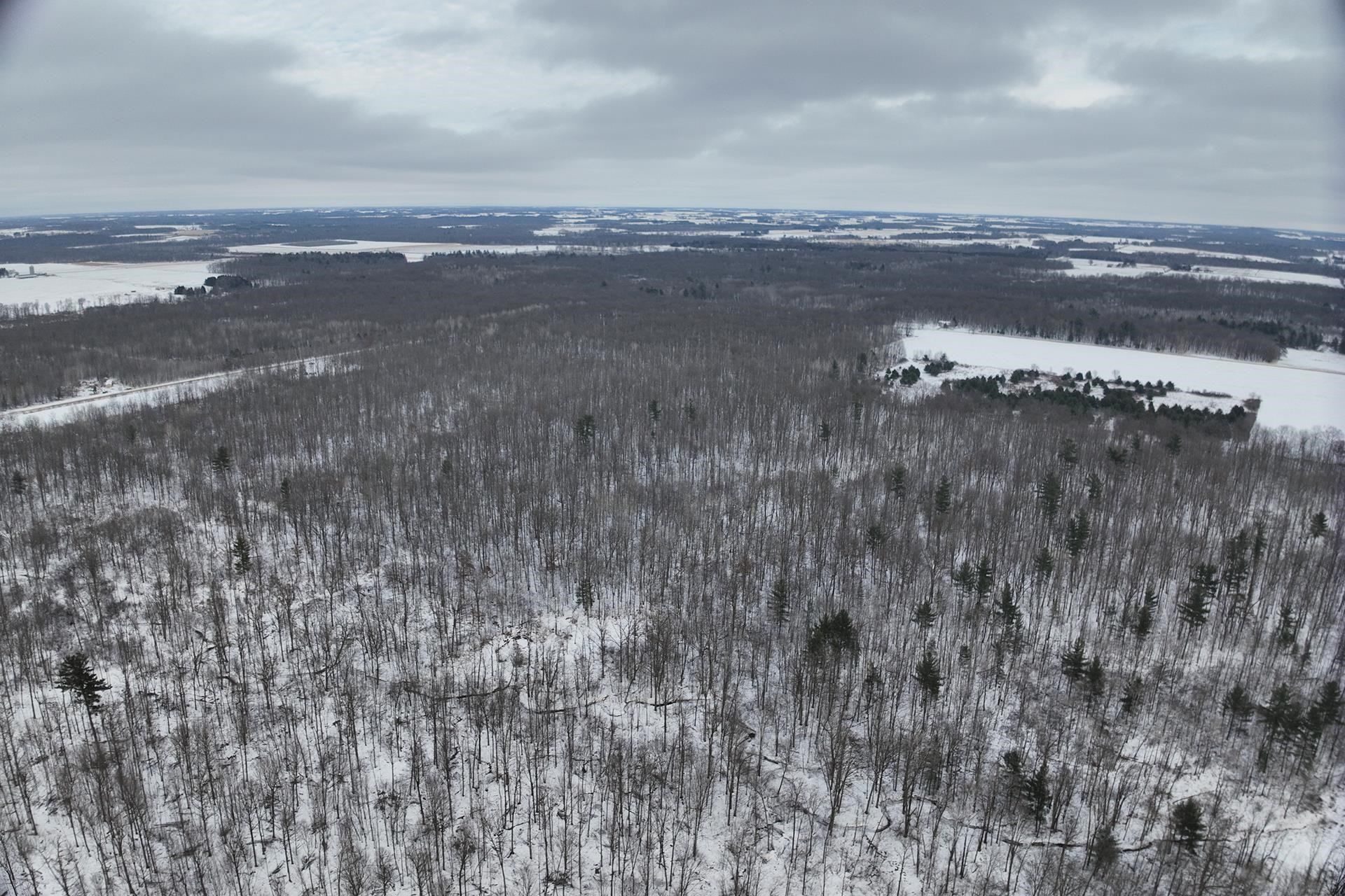 65.32 acres BOBWHITE ROAD, Neillsville, Wisconsin 54456, ,Land,For Sale,65.32 acres BOBWHITE ROAD,22600106