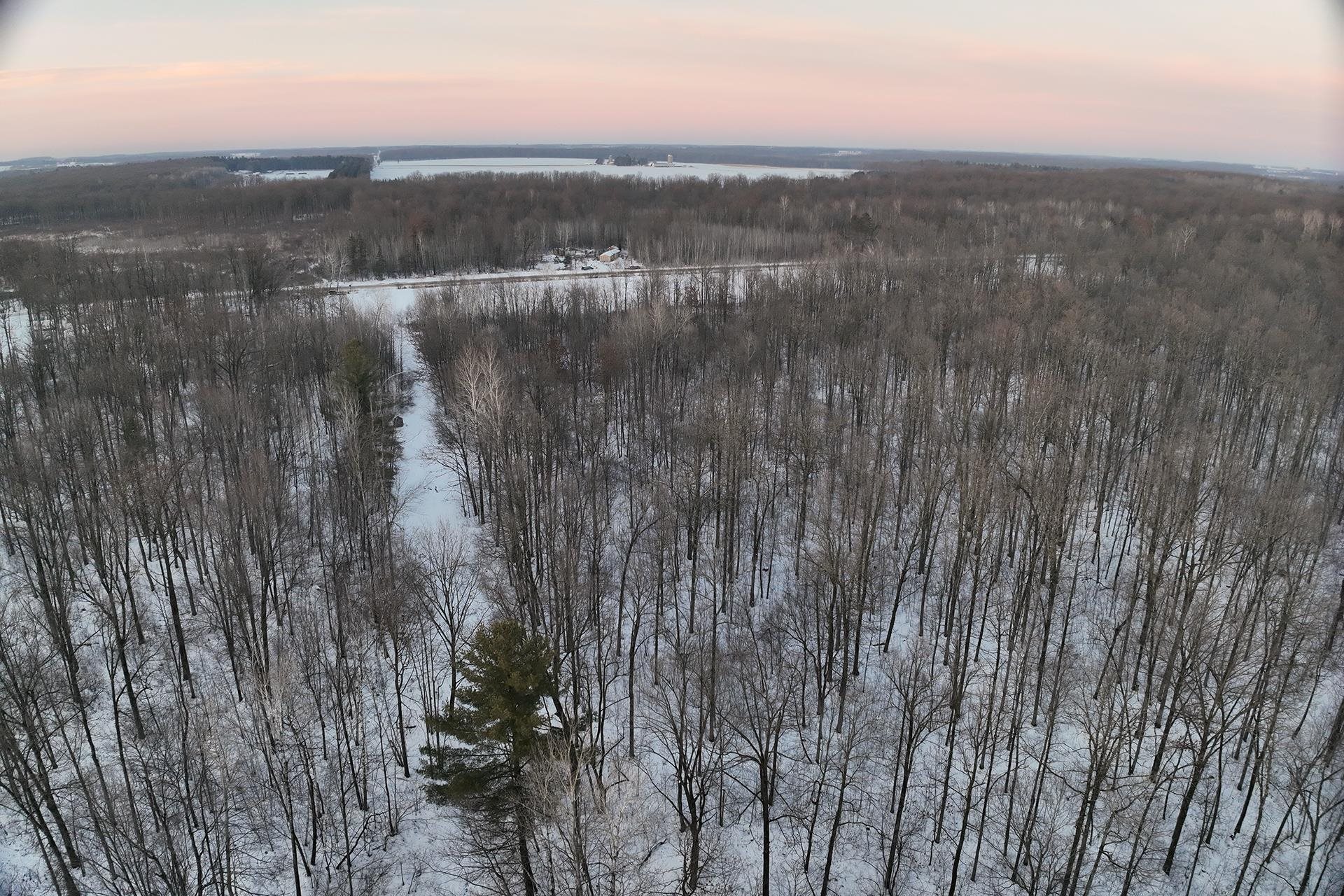 65.32 acres BOBWHITE ROAD, Neillsville, Wisconsin 54456, ,Land,For Sale,65.32 acres BOBWHITE ROAD,22600106