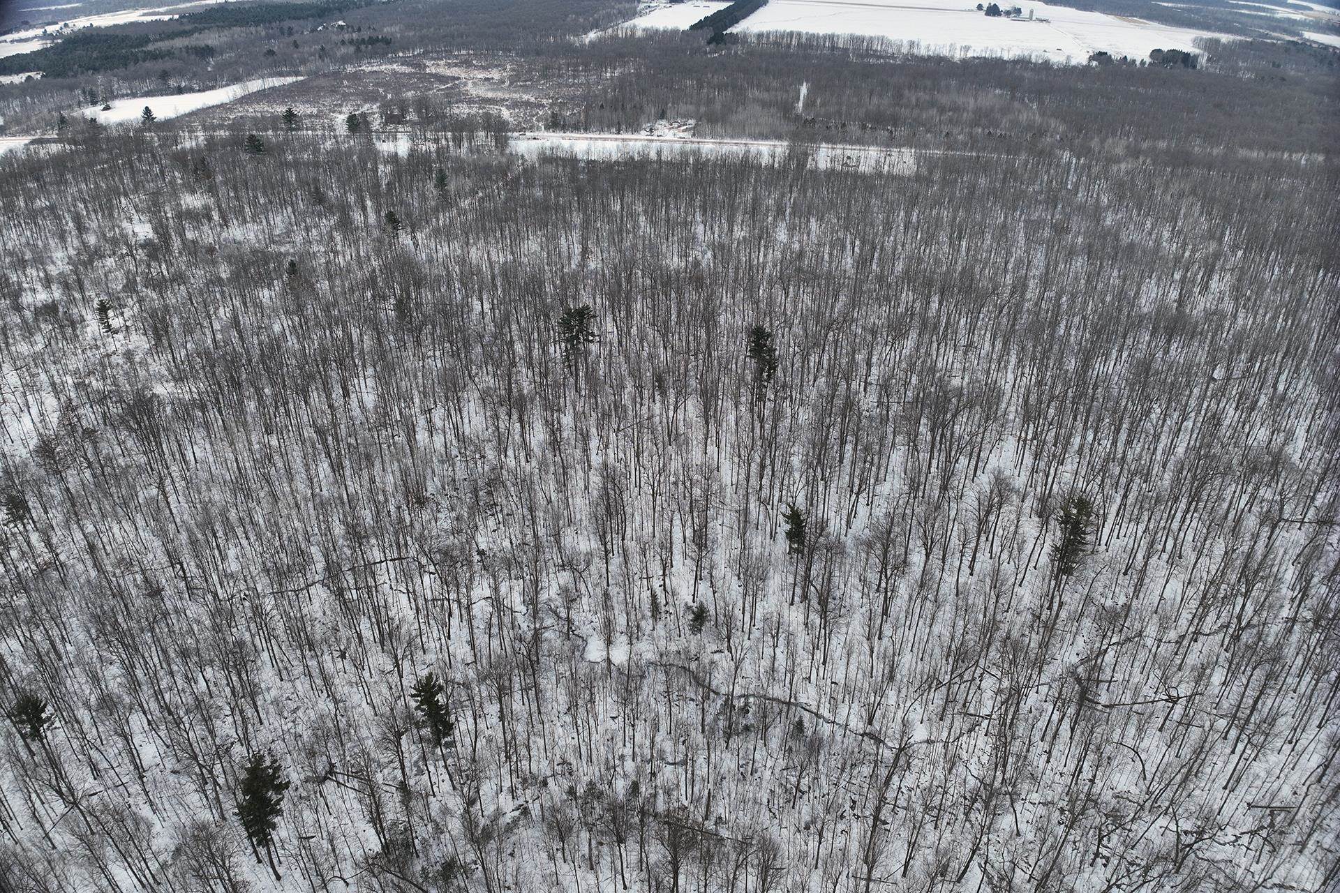 65.32 acres BOBWHITE ROAD, Neillsville, Wisconsin 54456, ,Land,For Sale,65.32 acres BOBWHITE ROAD,22600106