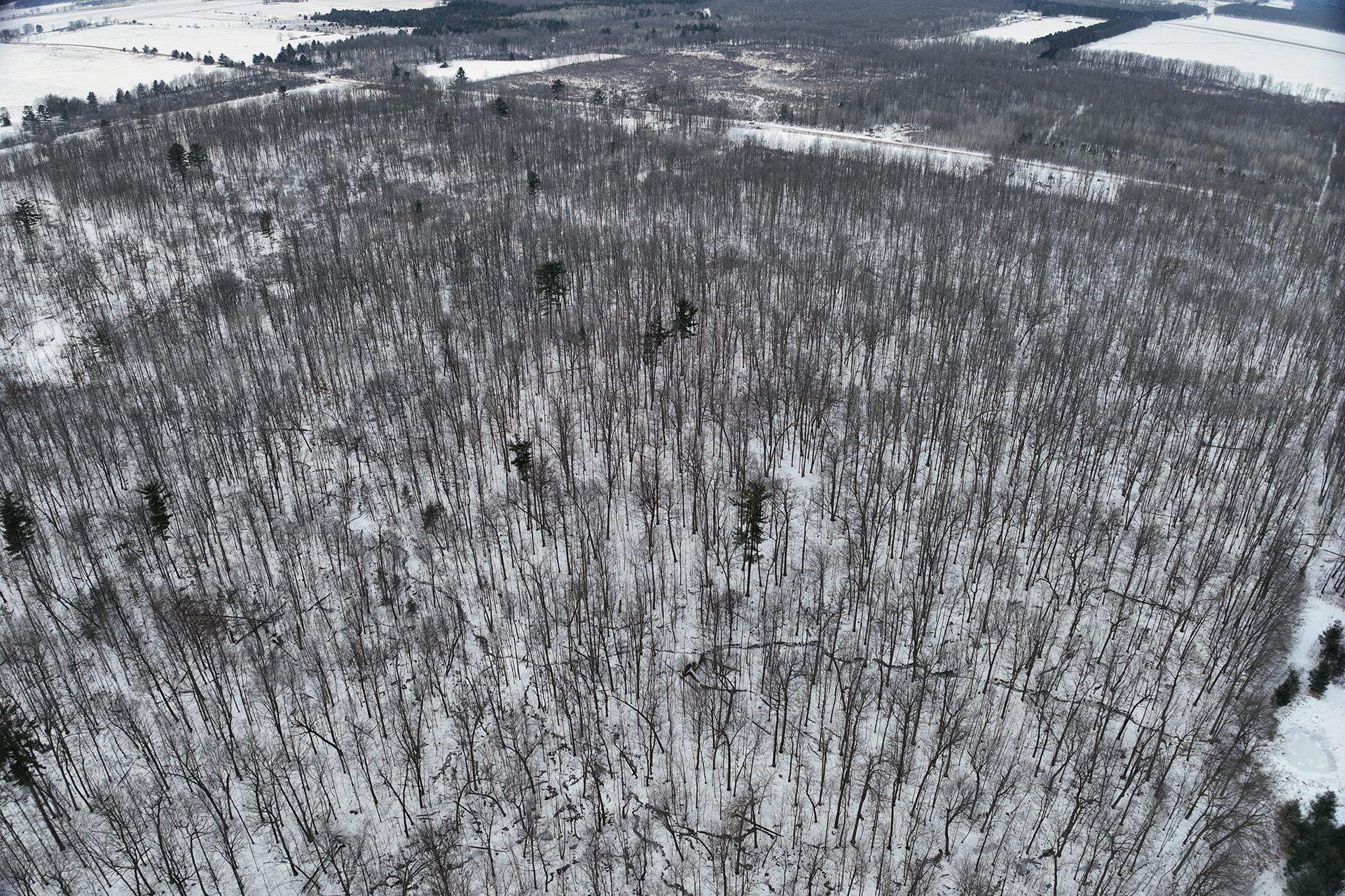 65.32 acres BOBWHITE ROAD, Neillsville, Wisconsin 54456, ,Land,For Sale,65.32 acres BOBWHITE ROAD,22600106