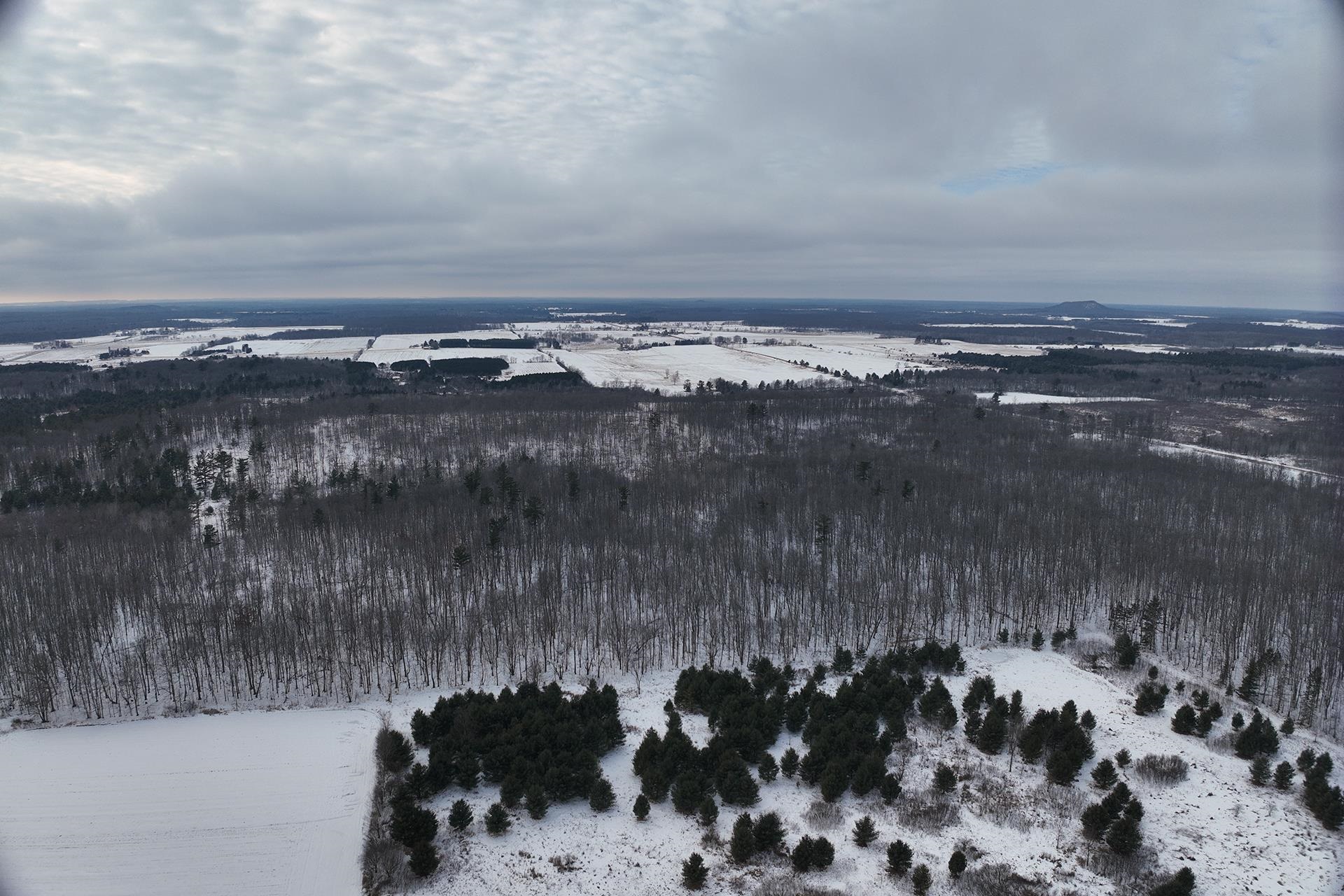 65.32 acres BOBWHITE ROAD, Neillsville, Wisconsin 54456, ,Land,For Sale,65.32 acres BOBWHITE ROAD,22600106