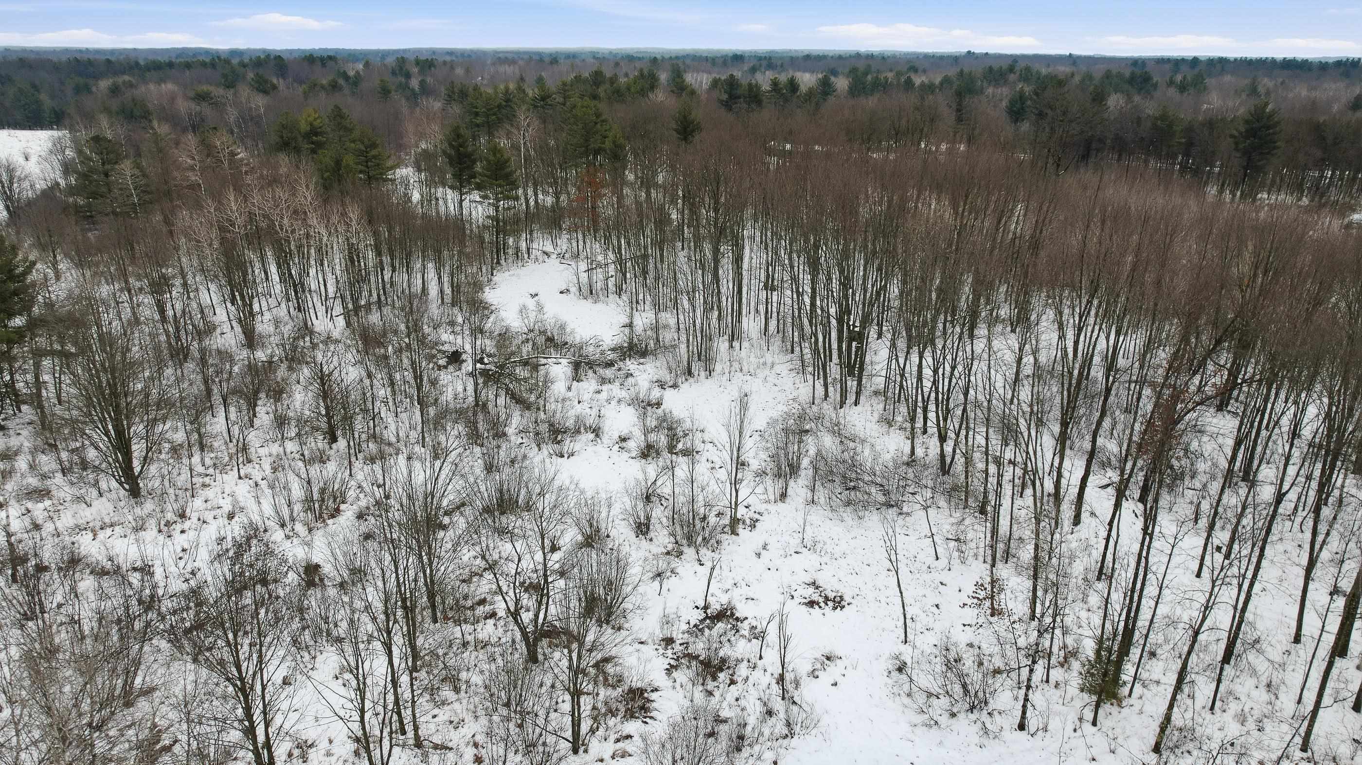 10 acres LINWOOD DRIVE, Stevens Point, Wisconsin 54481, ,Land,For Sale,10 acres LINWOOD DRIVE,22600120