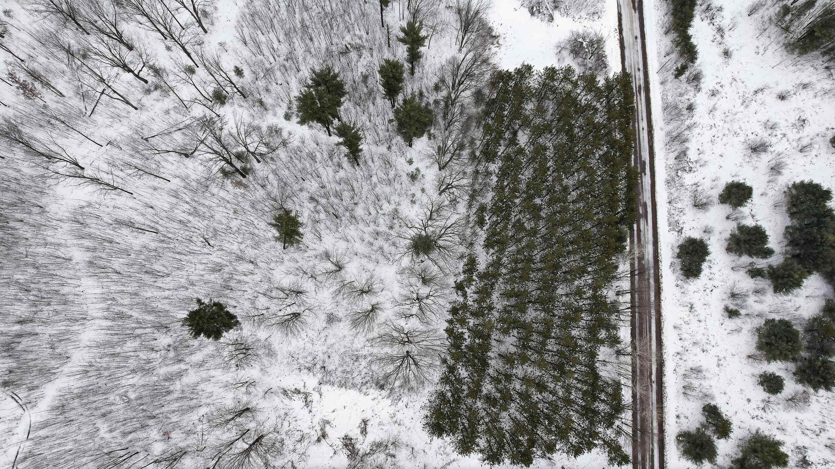 10 acres LINWOOD DRIVE, Stevens Point, Wisconsin 54481, ,Land,For Sale,10 acres LINWOOD DRIVE,22600120