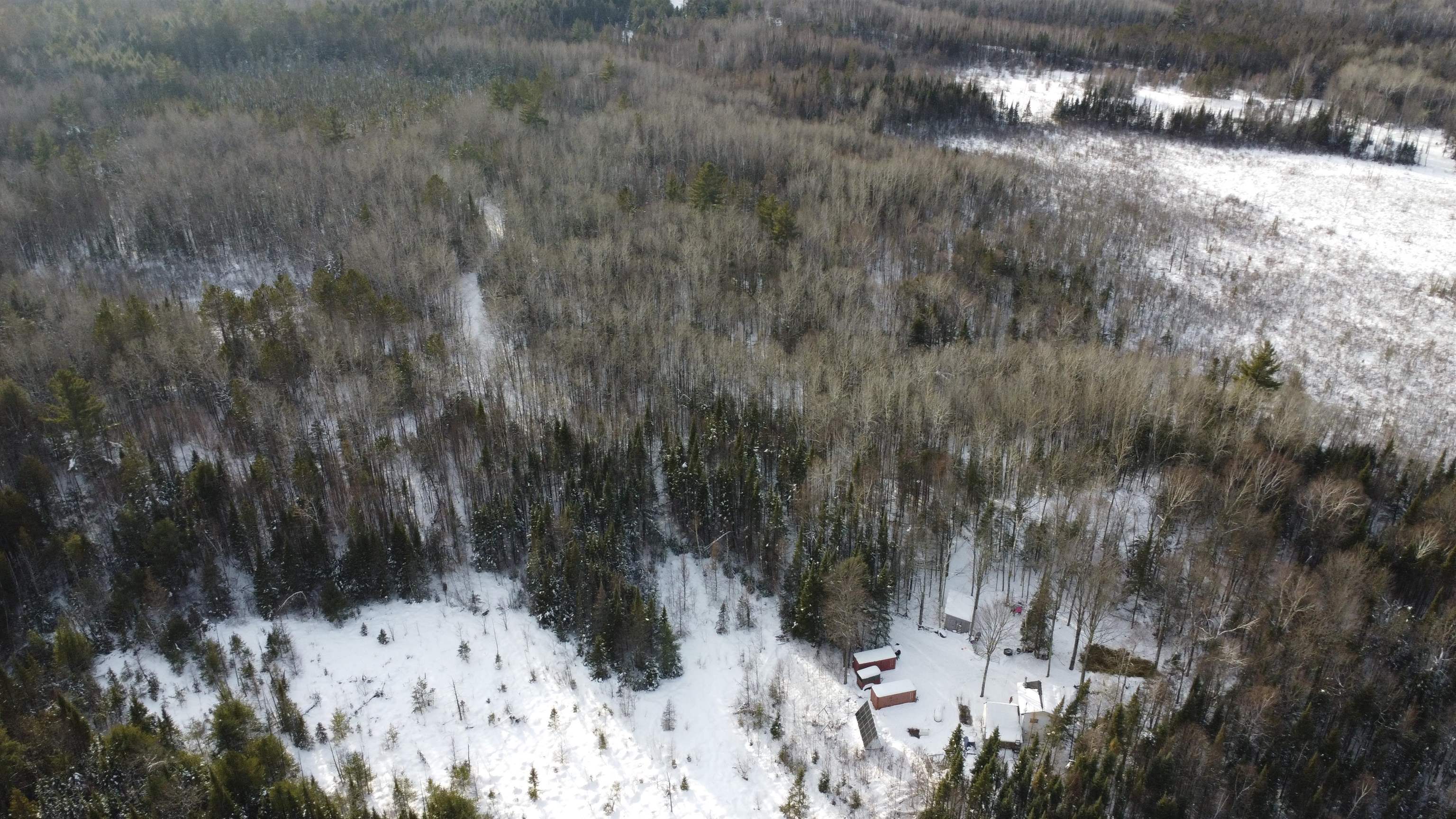 4221 COUNTY ROAD Q, Pelican Lake, Wisconsin 54463, 1 Bedroom Bedrooms, ,1 BathroomBathrooms,Residential,For Sale,4221 COUNTY ROAD Q,22600125