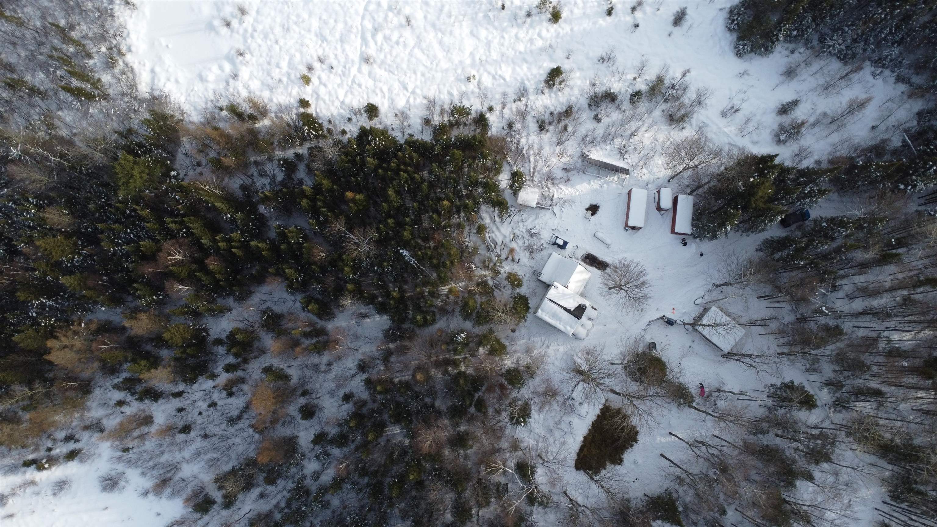 4221 COUNTY ROAD Q, Pelican Lake, Wisconsin 54463, 1 Bedroom Bedrooms, ,1 BathroomBathrooms,Residential,For Sale,4221 COUNTY ROAD Q,22600125