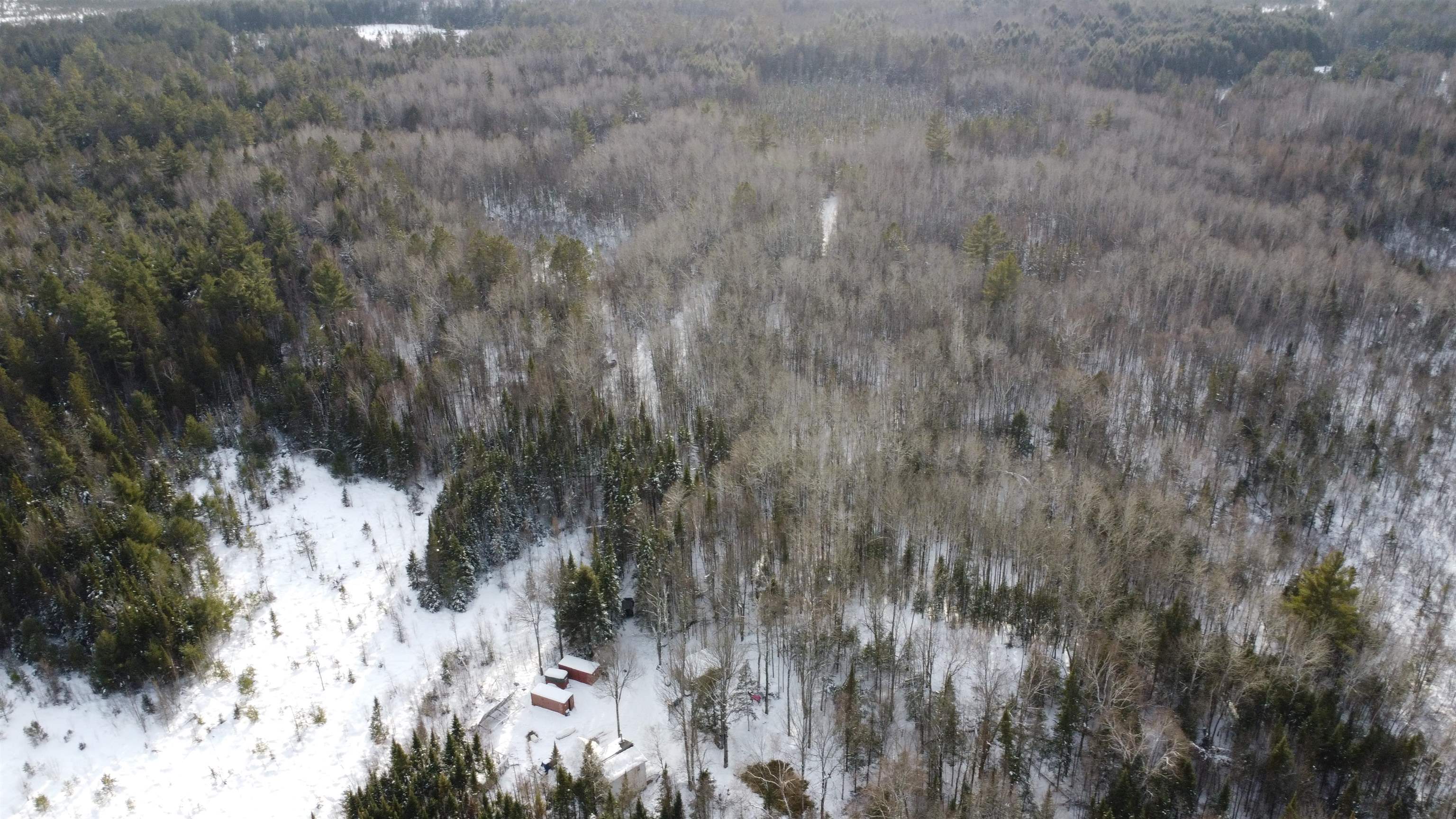 4221 COUNTY ROAD Q, Pelican Lake, Wisconsin 54463, 1 Bedroom Bedrooms, ,1 BathroomBathrooms,Residential,For Sale,4221 COUNTY ROAD Q,22600125