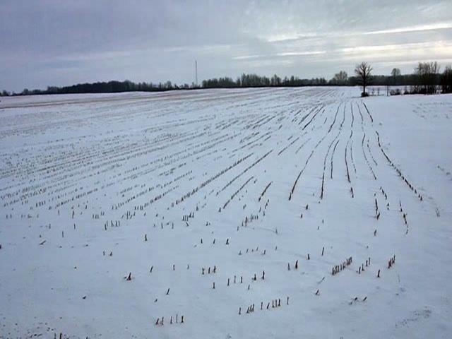 00 COUNTY ROAD H, Marshfield, Wisconsin 54449, ,Land,For Sale,00 COUNTY ROAD H,22600127