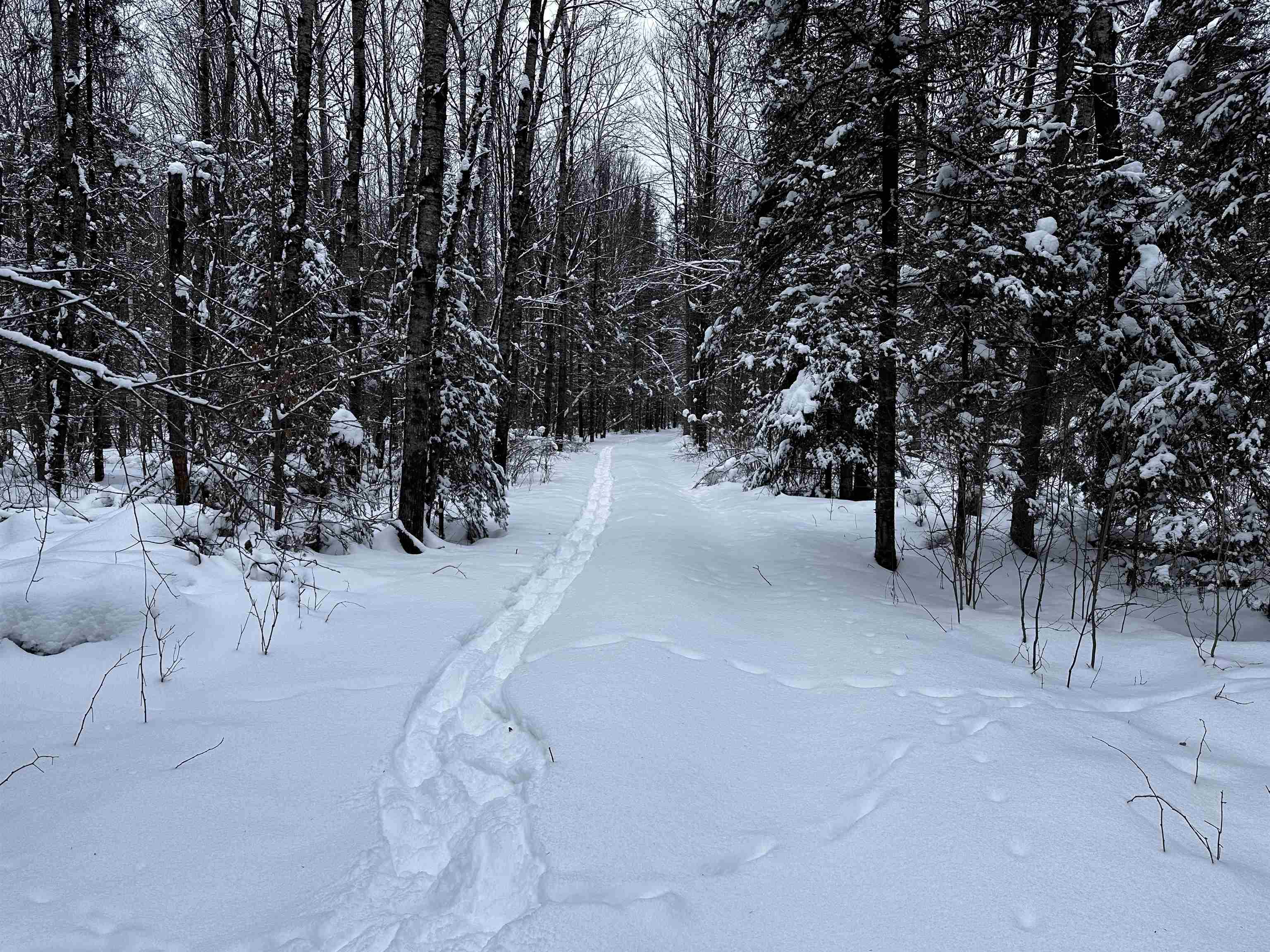 15865 THRASHER ROAD, Alvin, Wisconsin 54542, 2 Bedrooms Bedrooms, ,Residential,For Sale,15865 THRASHER ROAD,22600137