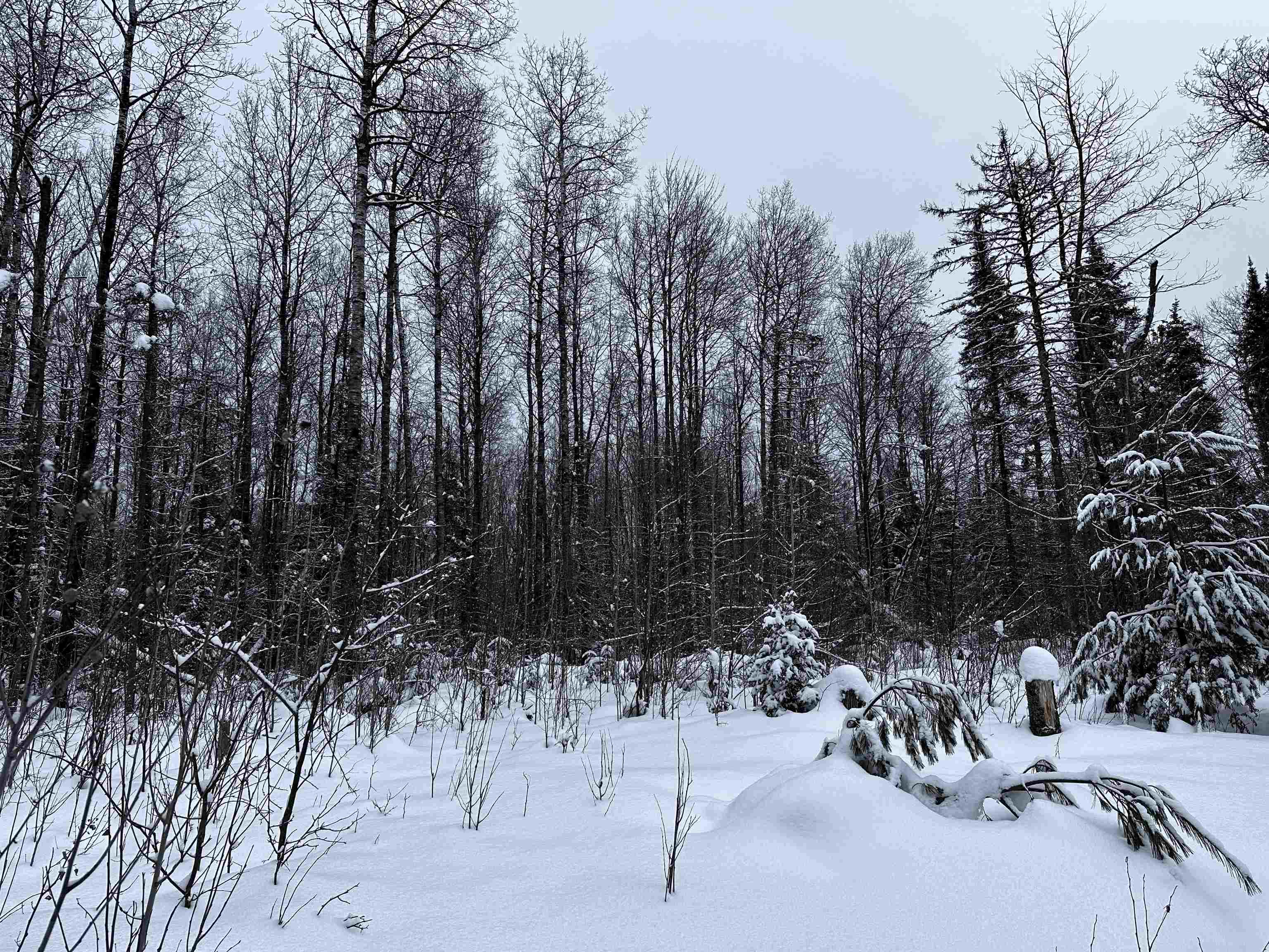 15865 THRASHER ROAD, Alvin, Wisconsin 54542, 2 Bedrooms Bedrooms, ,Residential,For Sale,15865 THRASHER ROAD,22600137