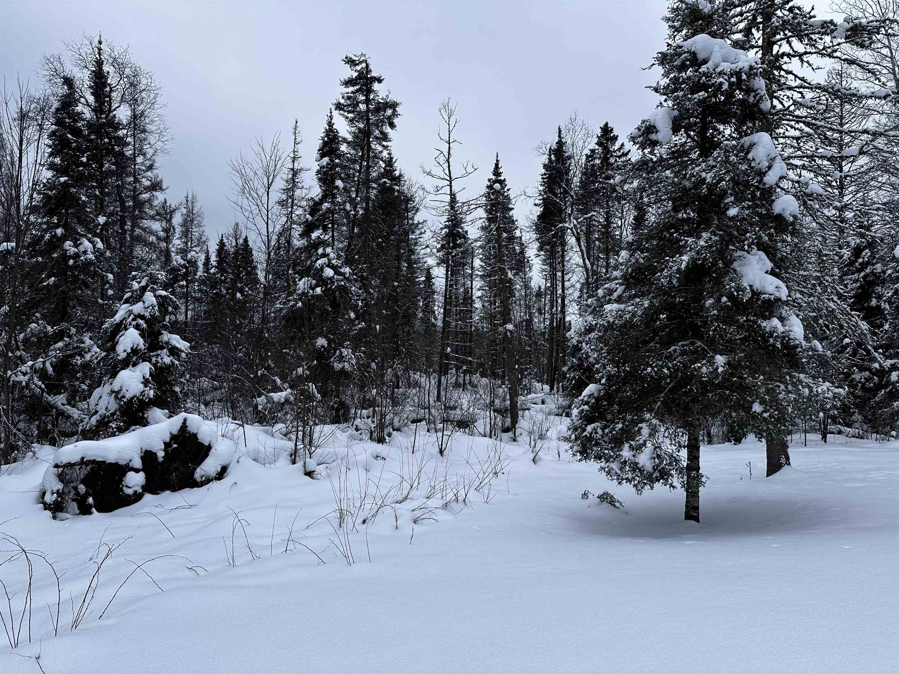 15865 THRASHER ROAD, Alvin, Wisconsin 54542, 2 Bedrooms Bedrooms, ,Residential,For Sale,15865 THRASHER ROAD,22600137