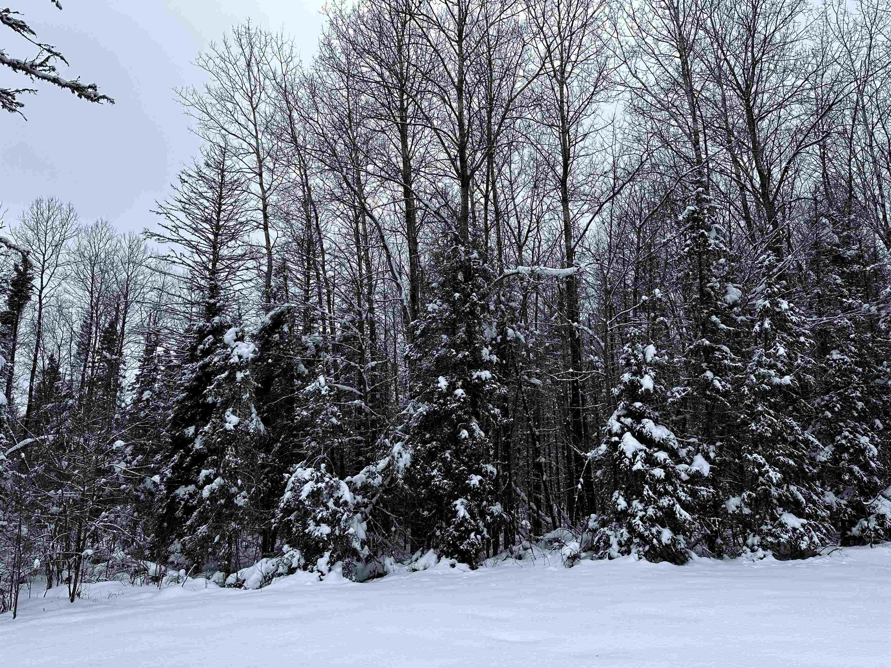 15865 THRASHER ROAD, Alvin, Wisconsin 54542, 2 Bedrooms Bedrooms, ,Residential,For Sale,15865 THRASHER ROAD,22600137