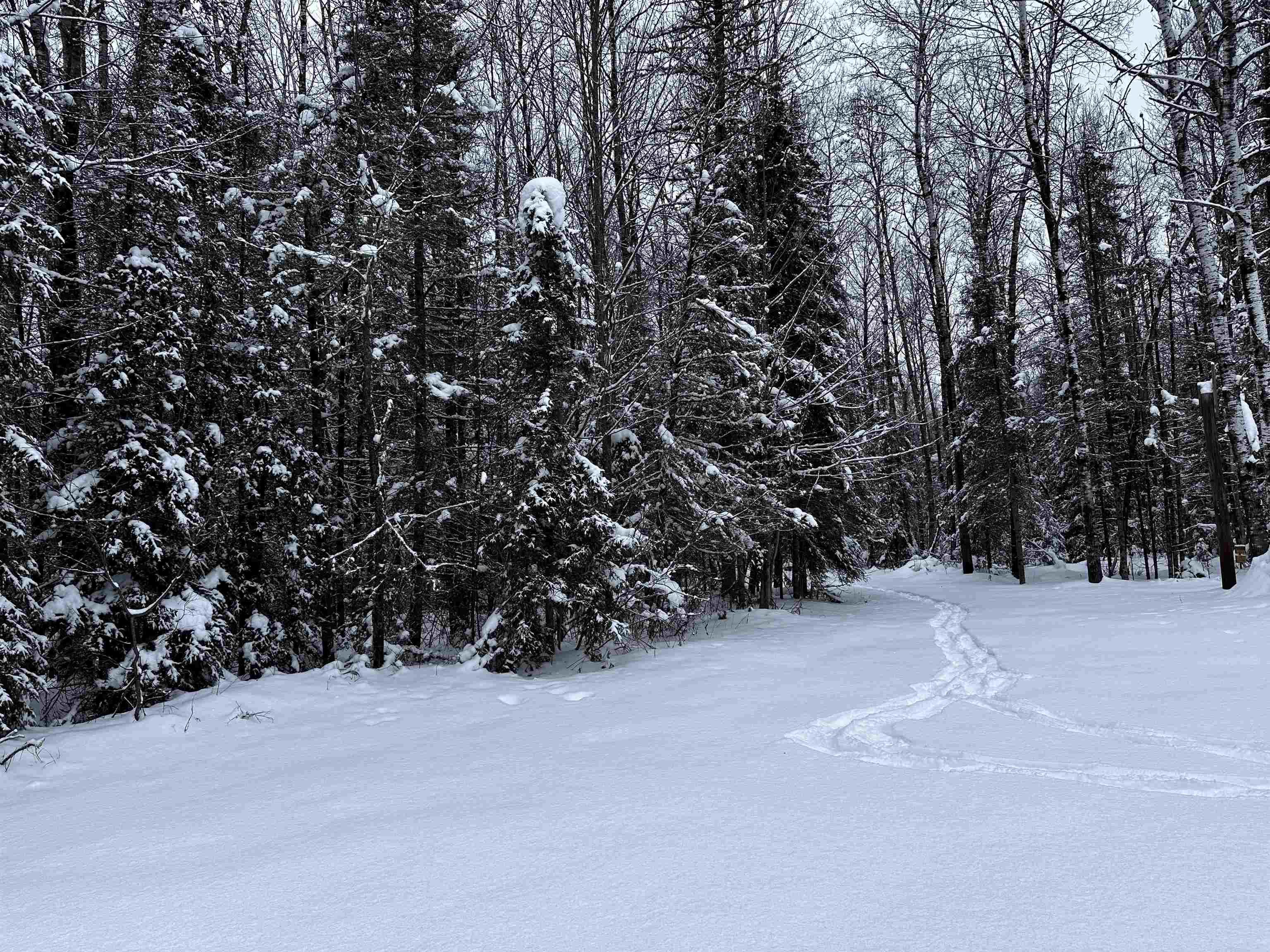 15865 THRASHER ROAD, Alvin, Wisconsin 54542, 2 Bedrooms Bedrooms, ,Residential,For Sale,15865 THRASHER ROAD,22600137