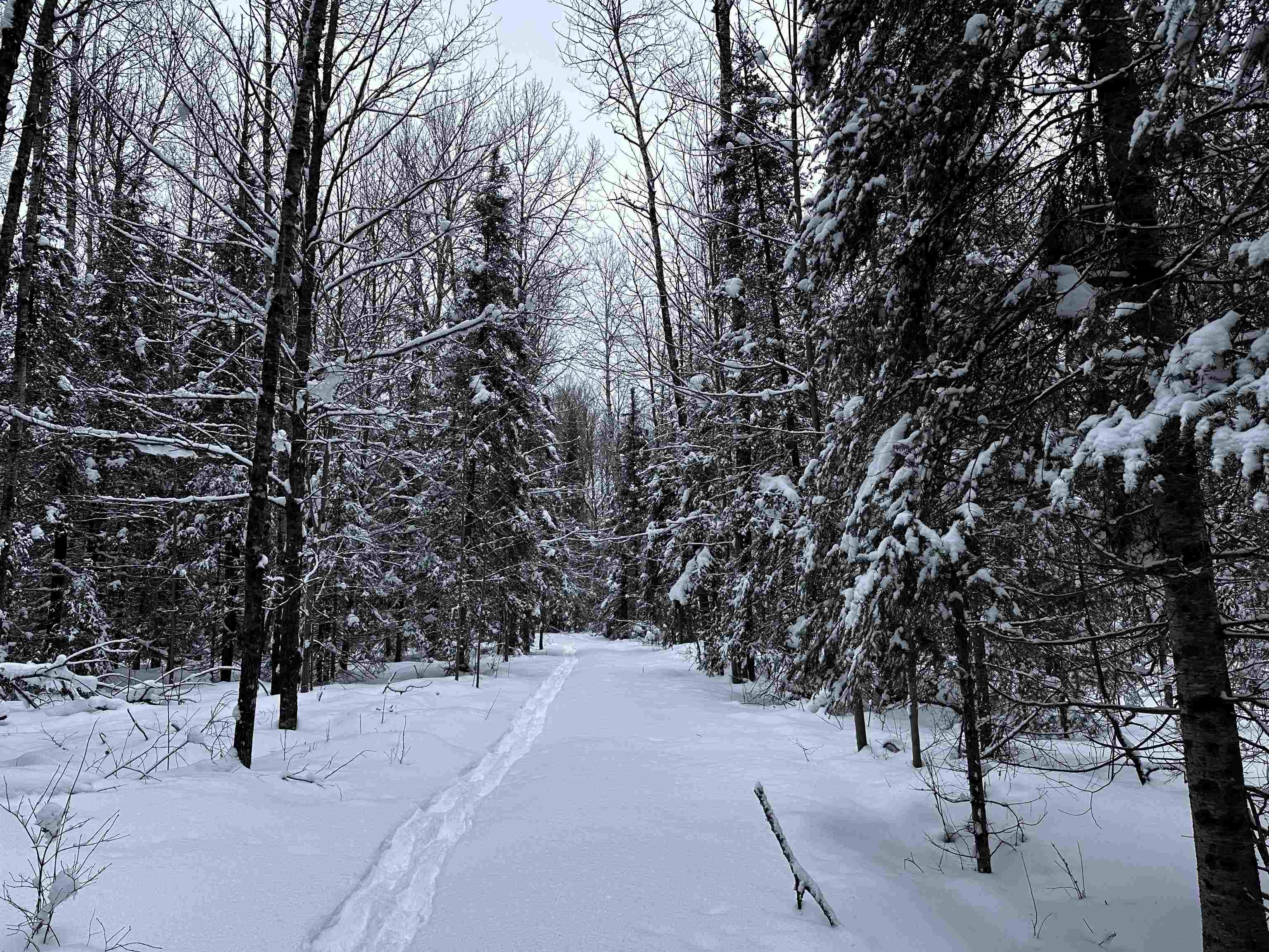 15865 THRASHER ROAD, Alvin, Wisconsin 54542, 2 Bedrooms Bedrooms, ,Residential,For Sale,15865 THRASHER ROAD,22600137