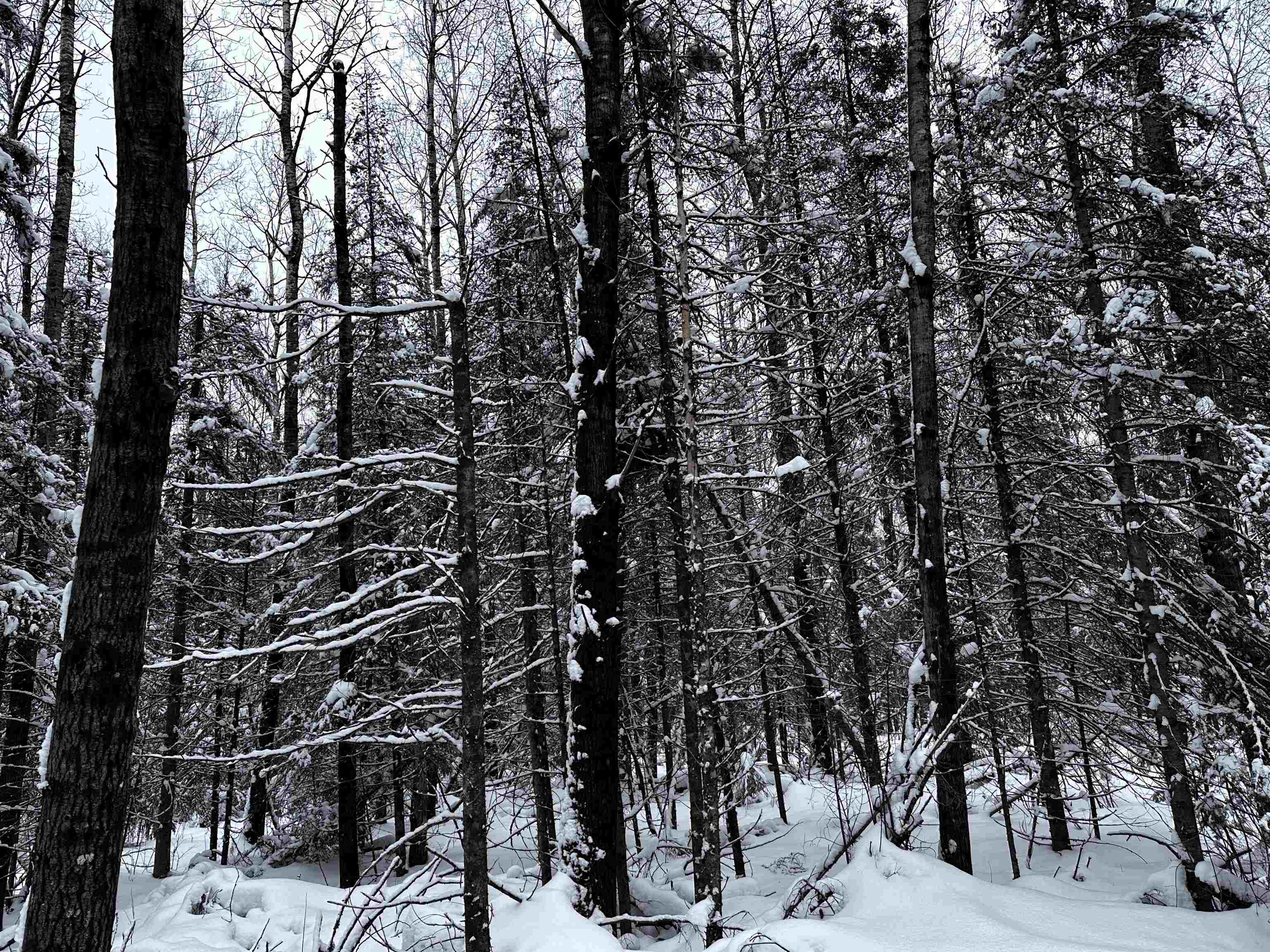 15865 THRASHER ROAD, Alvin, Wisconsin 54542, 2 Bedrooms Bedrooms, ,Residential,For Sale,15865 THRASHER ROAD,22600137