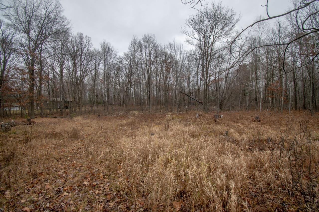 1376 HORSESHOE DRIVE, Kronenwetter, Wisconsin 54455, ,Land,For Sale,1376 HORSESHOE DRIVE,22600141