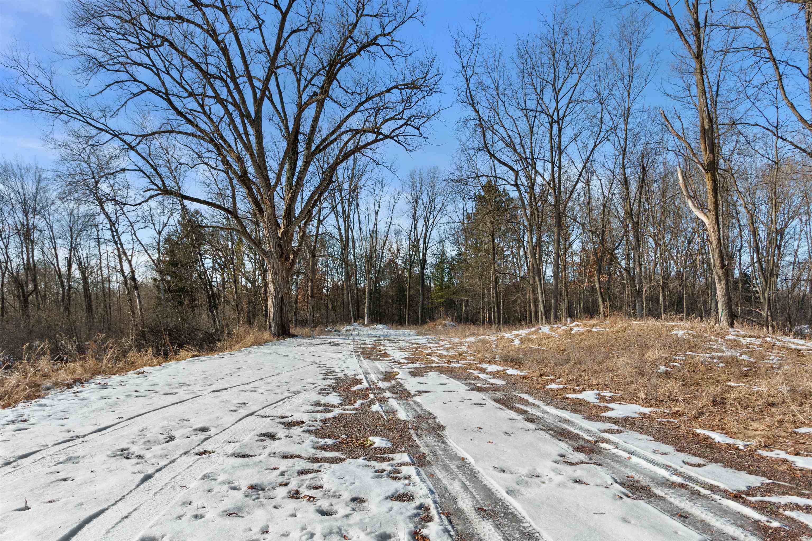 10164 COUNTY ROAD Z, Nekoosa, Wisconsin 54457, 1 Bedroom Bedrooms, ,1 BathroomBathrooms,Residential,For Sale,10164 COUNTY ROAD Z,22600157