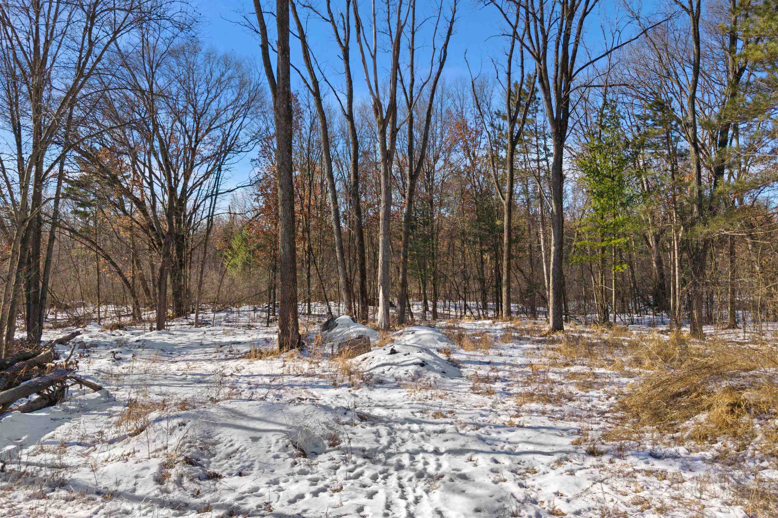 10164 COUNTY ROAD Z, Nekoosa, Wisconsin 54457, 1 Bedroom Bedrooms, ,1 BathroomBathrooms,Residential,For Sale,10164 COUNTY ROAD Z,22600157