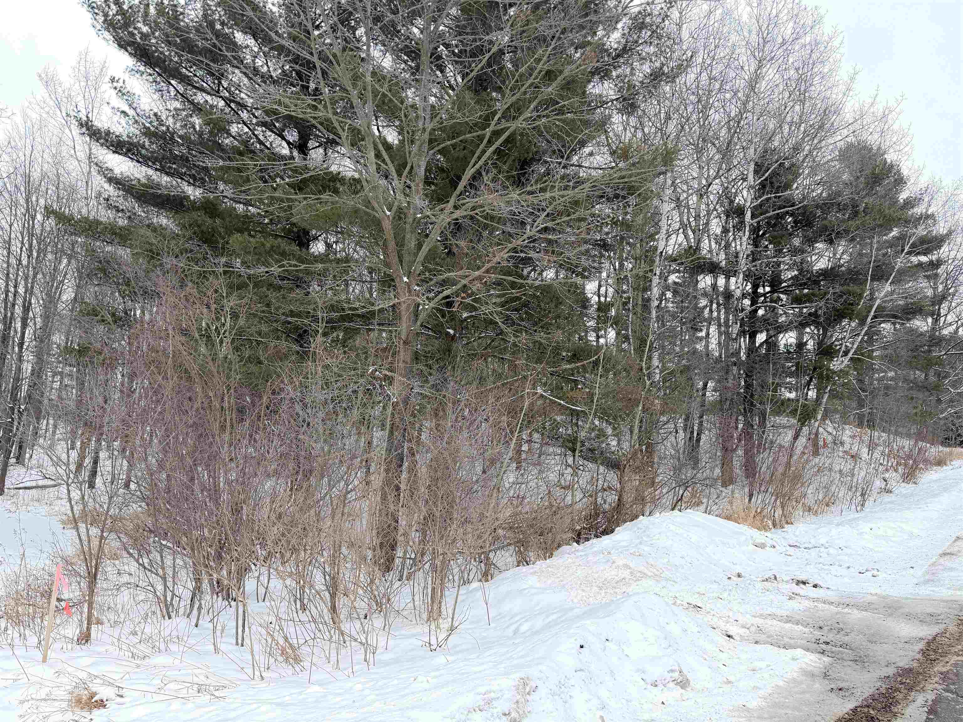 Lot 1 HIGHLAND DRIVE, Wausau, Wisconsin 54401, ,Land,For Sale,Lot 1 HIGHLAND DRIVE,22600190