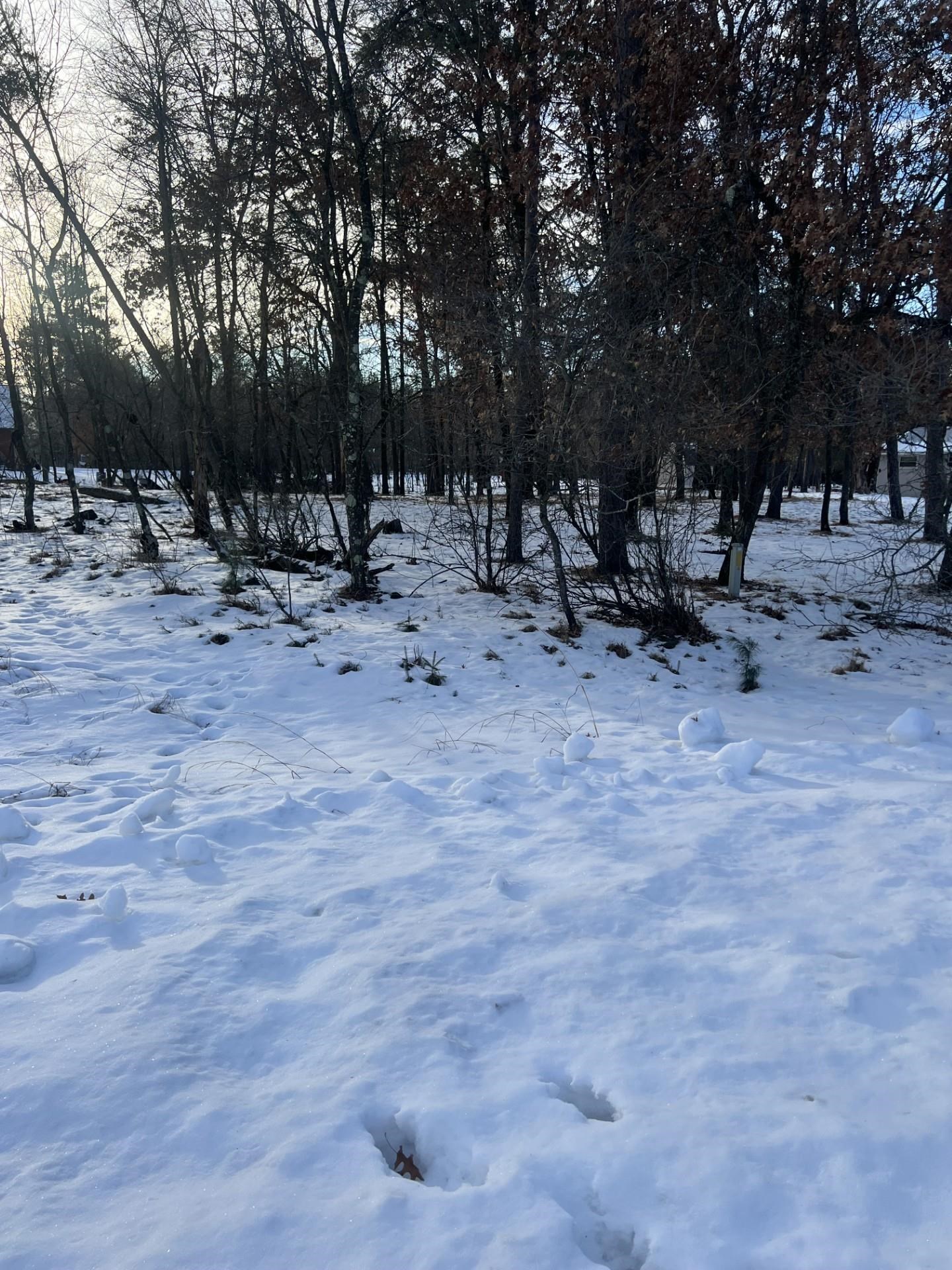 350 YEOMAN COURT, Nekoosa, Wisconsin 54457, ,Land,For Sale,350 YEOMAN COURT,22600199