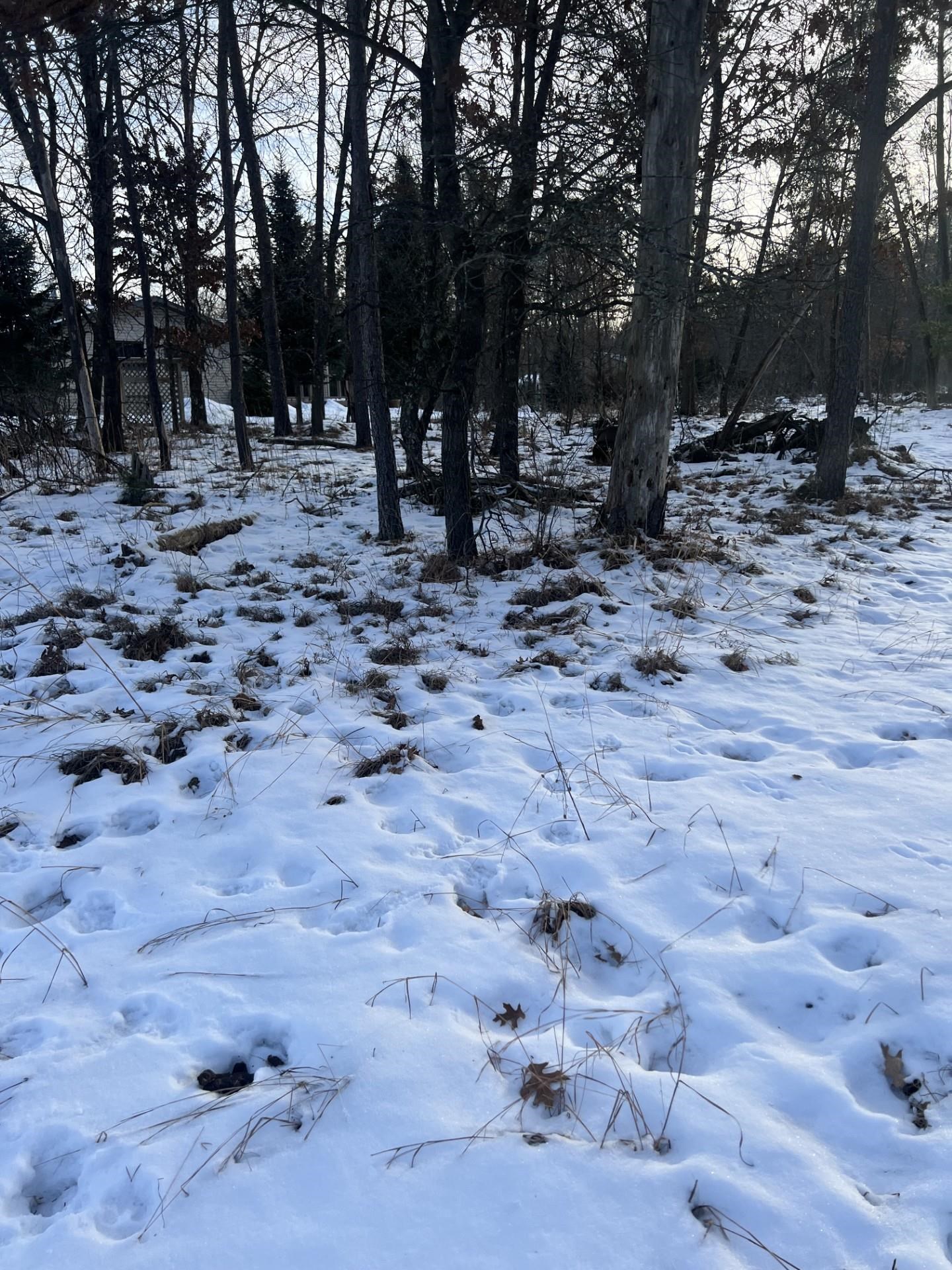 350 YEOMAN COURT, Nekoosa, Wisconsin 54457, ,Land,For Sale,350 YEOMAN COURT,22600199