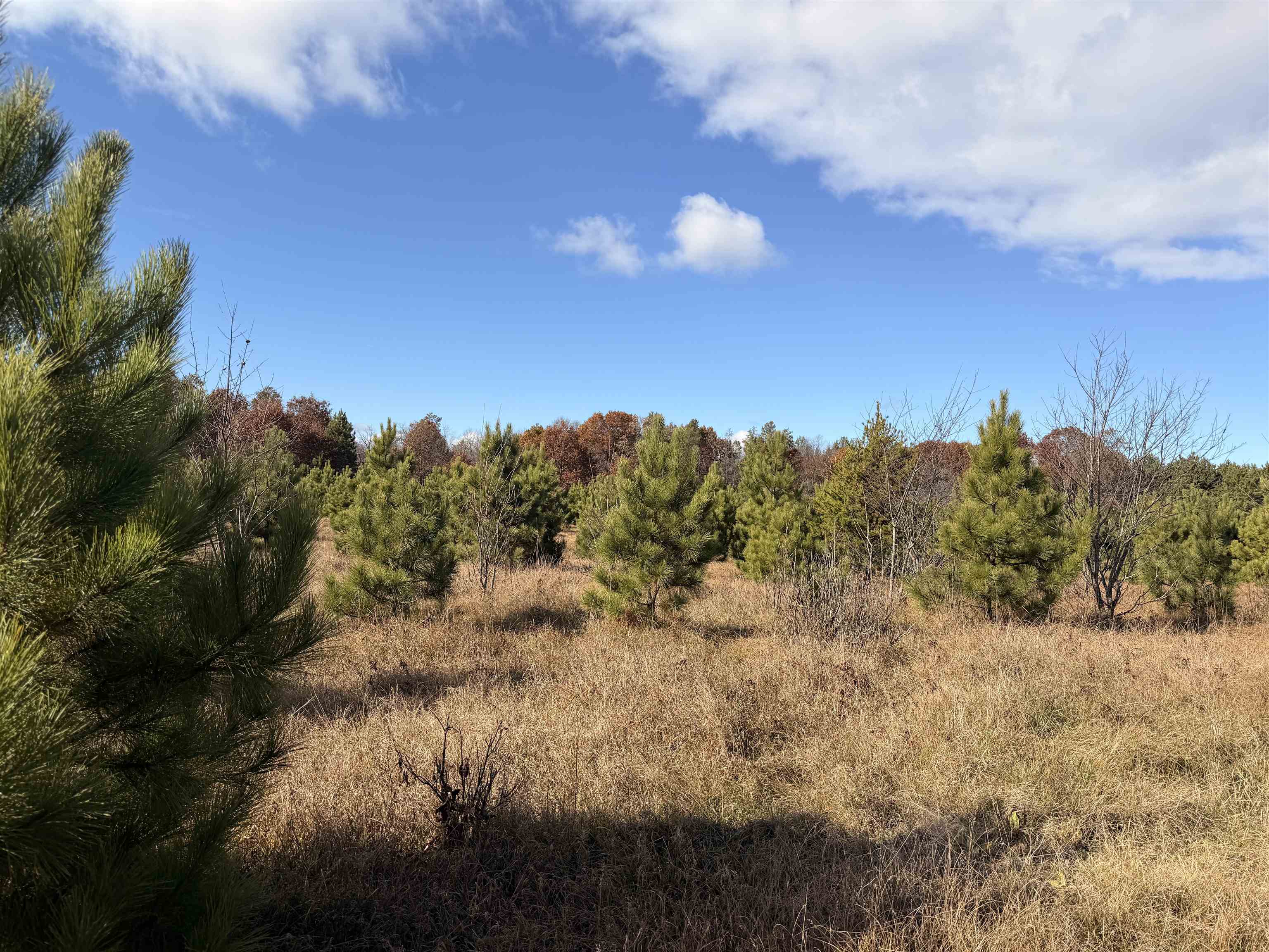 Lot 5 BELL ROAD, Wisconsin Rapids, Wisconsin 54494, ,Land,For Sale,Lot 5 BELL ROAD,22600207