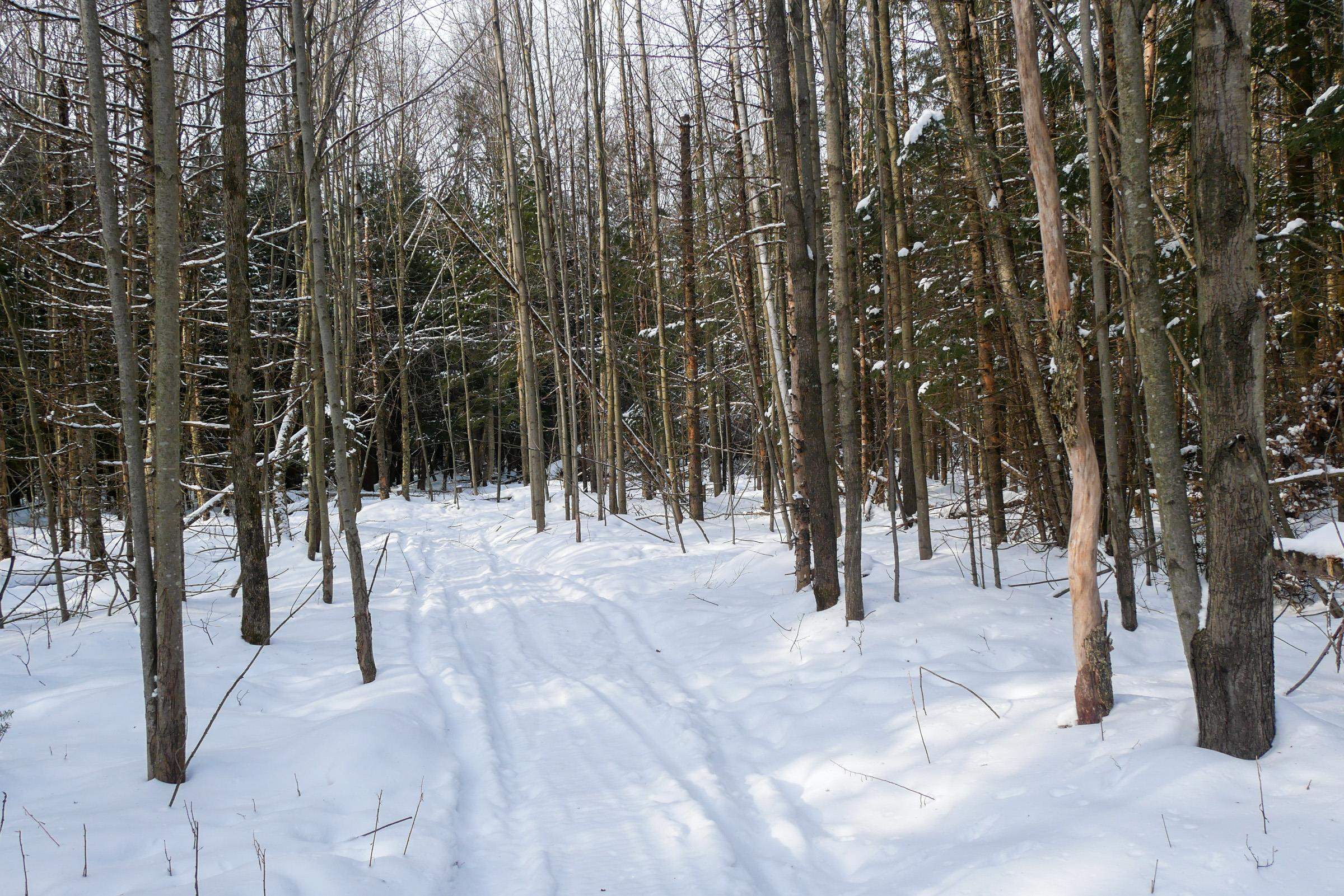 N583 CASTLE DRIVE, Dorchester, Wisconsin 54425, 2 Bedrooms Bedrooms, ,2 BathroomsBathrooms,Residential,For Sale,N583 CASTLE DRIVE,22600223