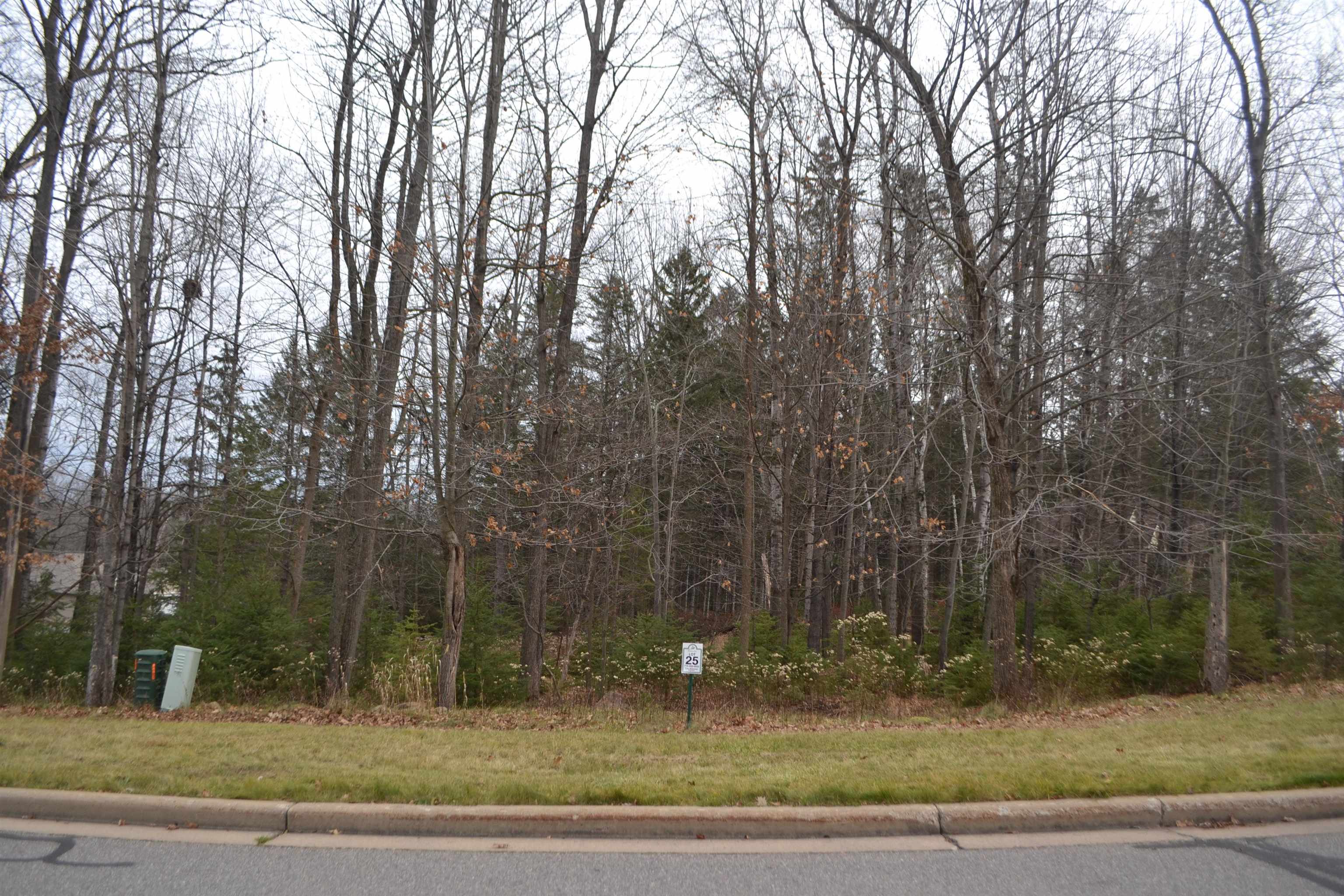 Lot #25 DEER TAIL LANE, Wausau, Wisconsin 54401, ,Land,For Sale,Lot #25 DEER TAIL LANE,22600225