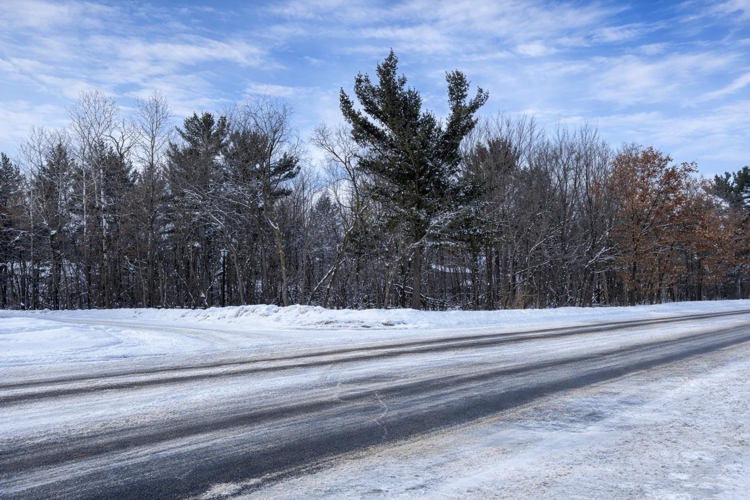 99 RIVER RIDGE ROAD, Wisconsin Rapids, Wisconsin 54495, ,Land,For Sale,99 RIVER RIDGE ROAD,22600227