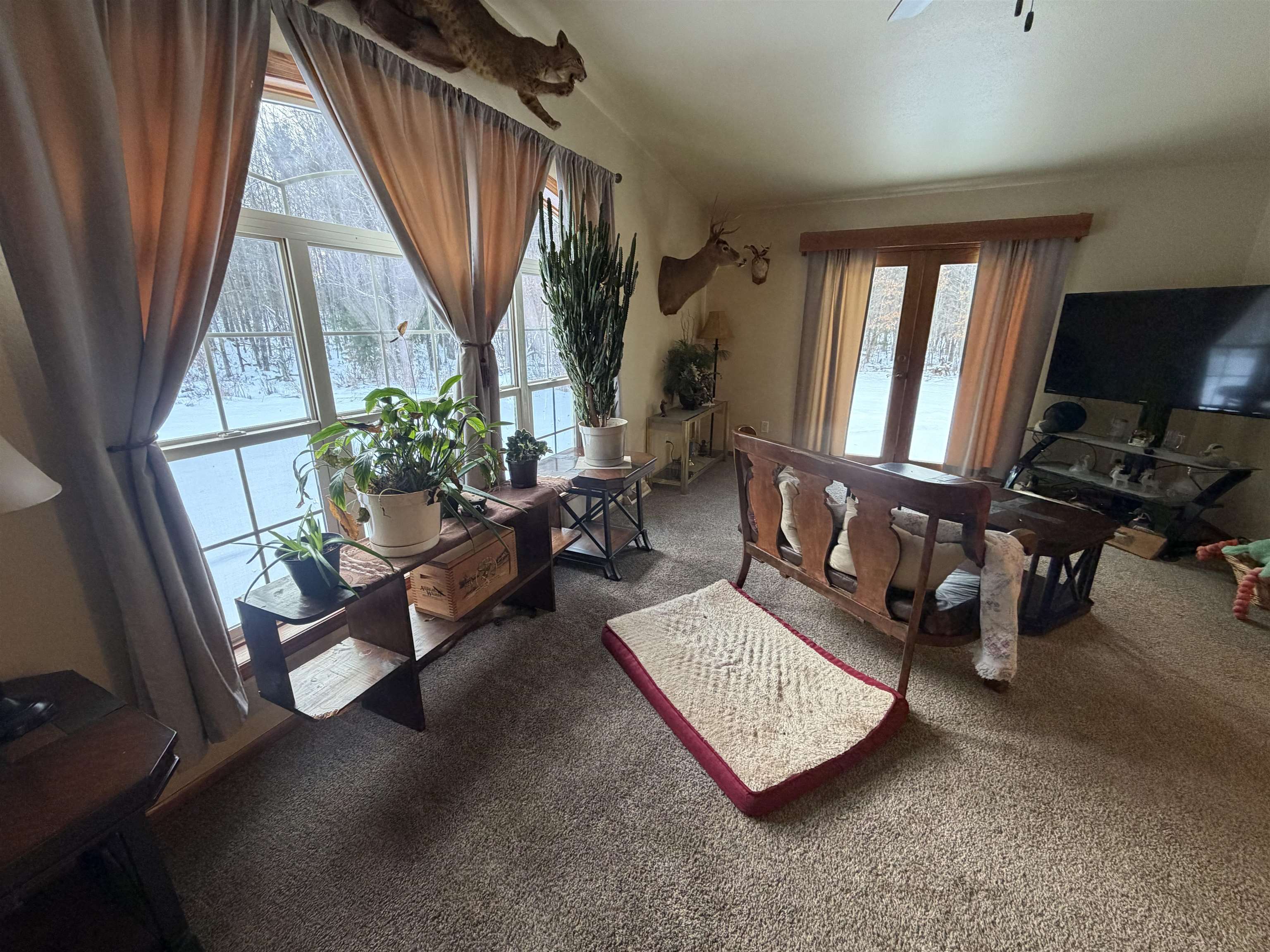 W8135 SAND ROAD, Neillsville, Wisconsin 54456, 3 Bedrooms Bedrooms, ,3 BathroomsBathrooms,Residential,For Sale,W8135 SAND ROAD,22600277