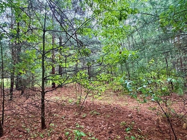 1.03 Acres COUNTY ROAD X, Kronenwetter, Wisconsin 54455, ,Land,For Sale,1.03 Acres COUNTY ROAD X,22600299