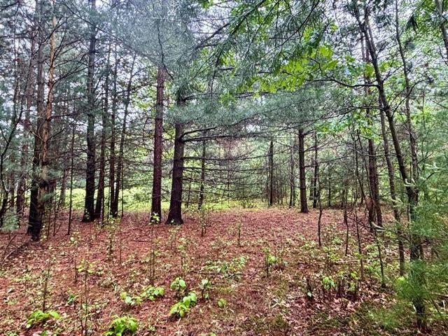1.03 Acres COUNTY ROAD X, Kronenwetter, Wisconsin 54455, ,Land,For Sale,1.03 Acres COUNTY ROAD X,22600299