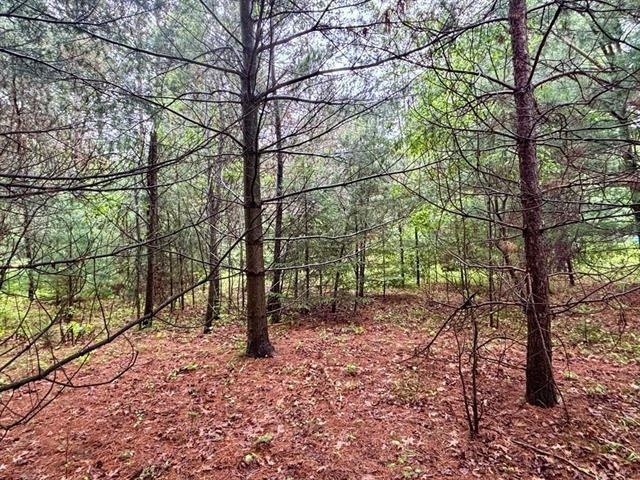 1.03 Acres COUNTY ROAD X, Kronenwetter, Wisconsin 54455, ,Land,For Sale,1.03 Acres COUNTY ROAD X,22600299