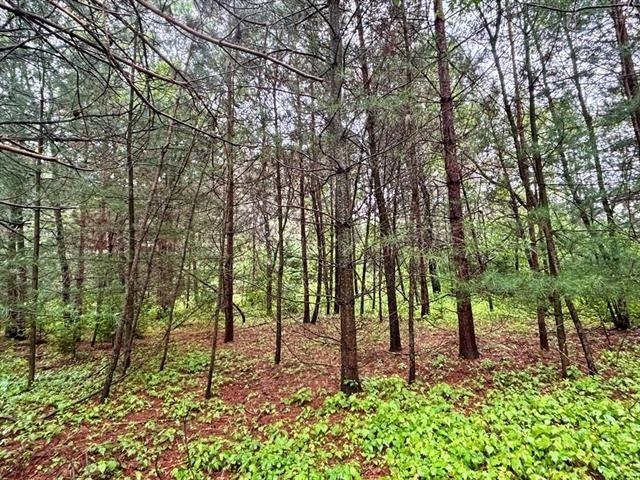 1.03 Acres COUNTY ROAD X, Kronenwetter, Wisconsin 54455, ,Land,For Sale,1.03 Acres COUNTY ROAD X,22600299
