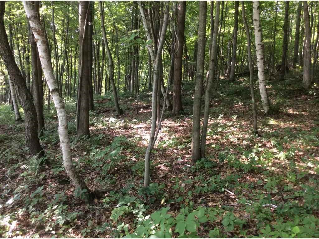 E7108 County Rd S, WHEELER, Wisconsin 54772, ,Land,For Sale,E7108 County Rd S,WW4938009