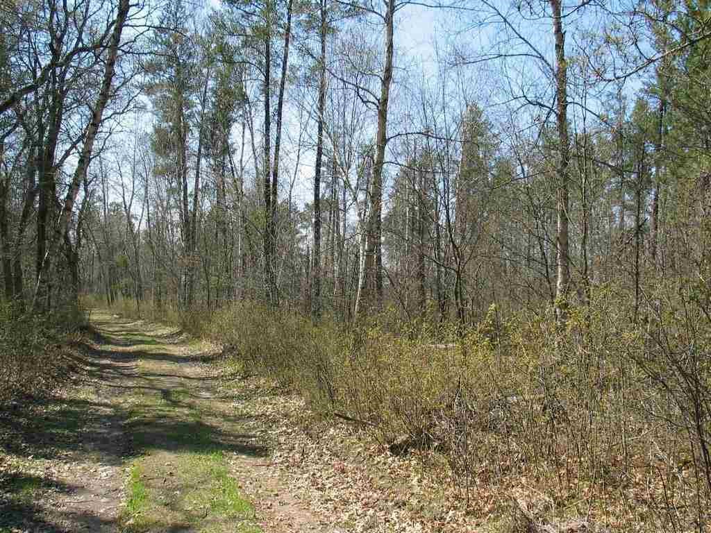 Lot 2 Lake 26 Road, Danbury, Wisconsin 54830, ,Land,For Sale,Lot 2 Lake 26 Road,WW4827875