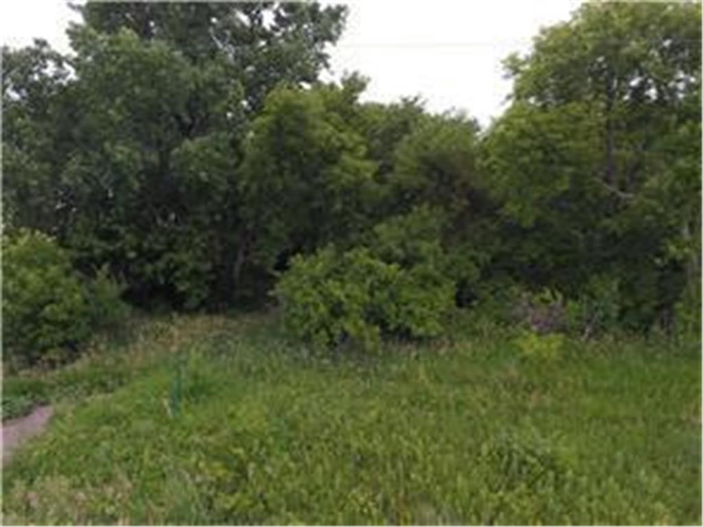 Lots 1 and 2 Tagus Avenue, Other, Minnesota 55350, ,Land,For Sale,Lots 1 and 2 Tagus Avenue,WW6526857